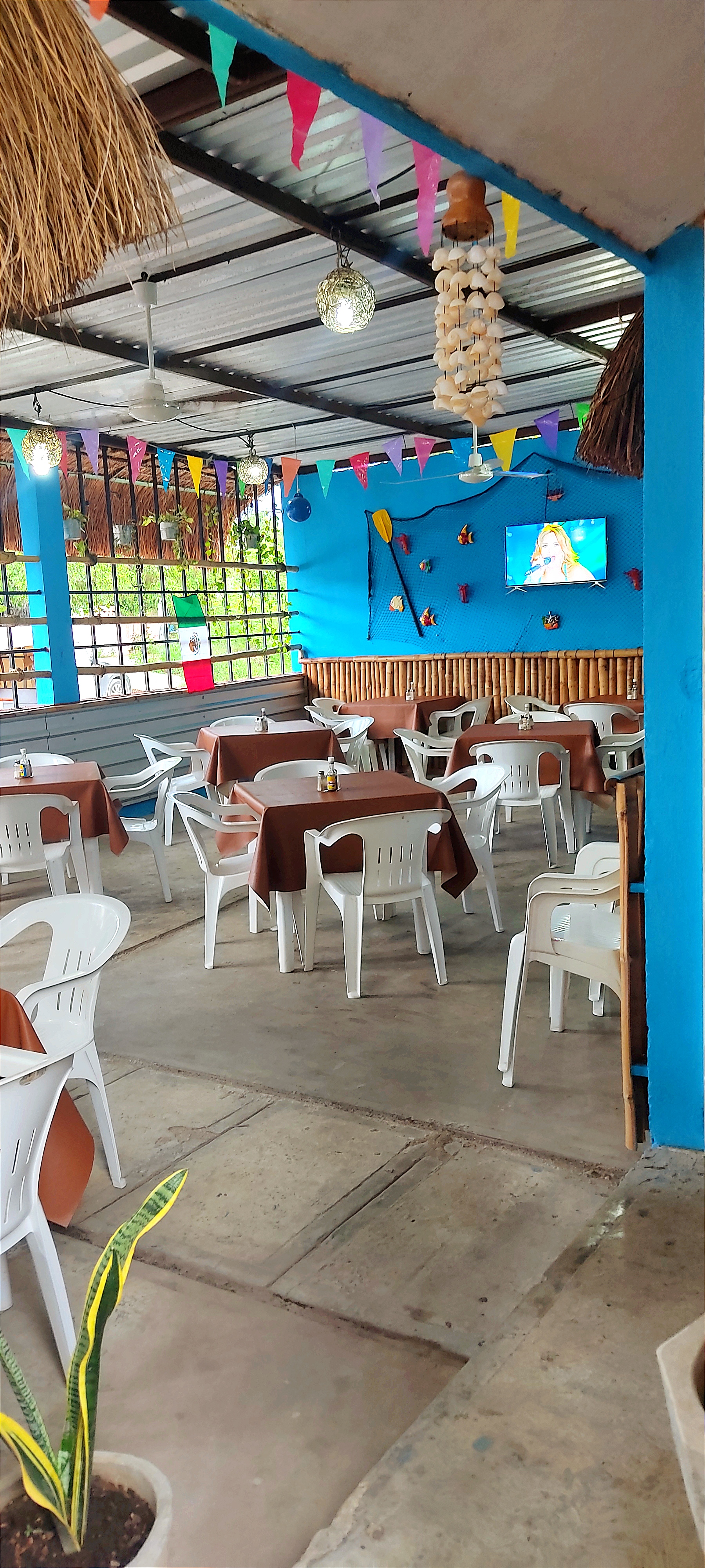 Coctelería La Palapita Motul image 4