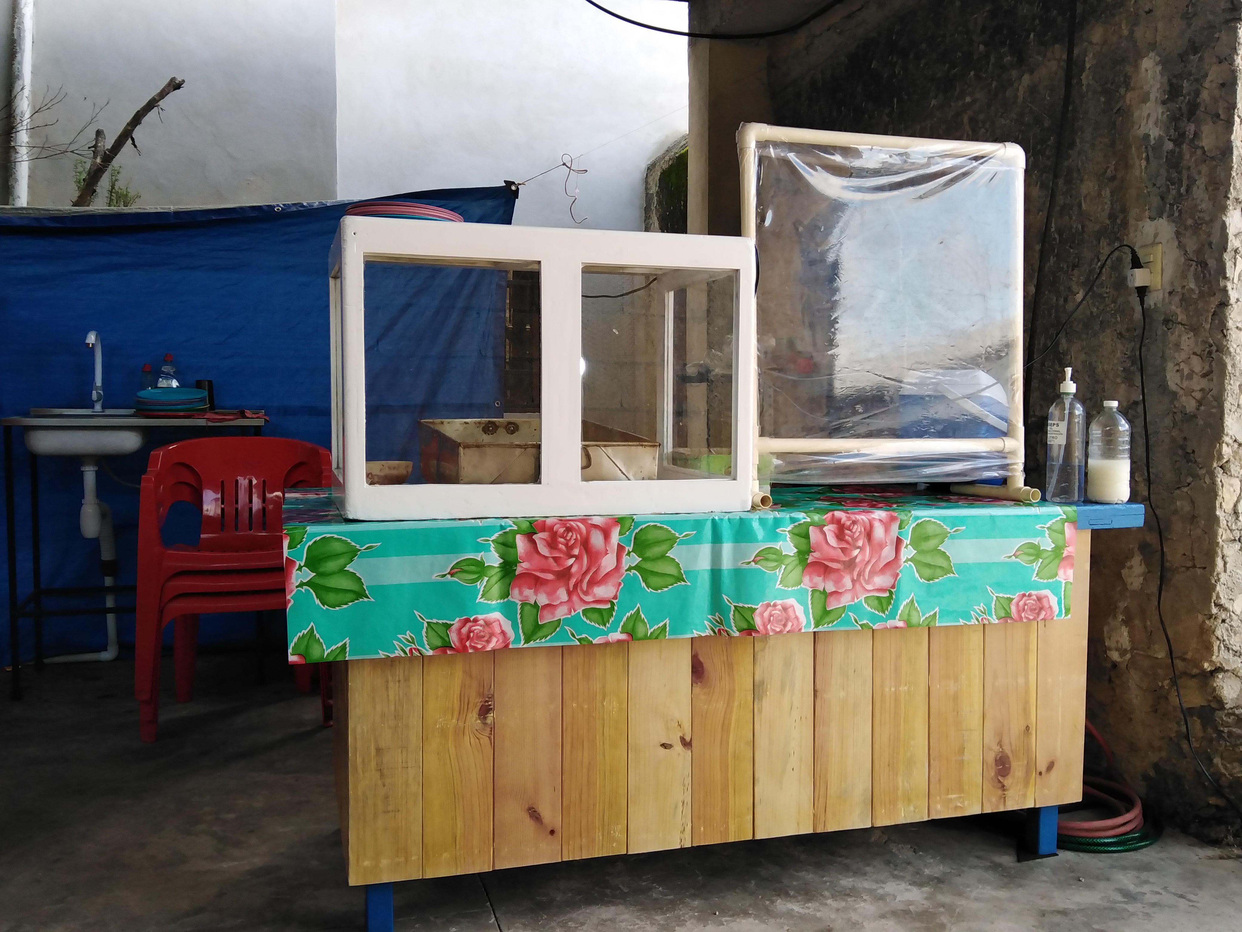 Taquería Alonzo's Cochinita Pibil image 4