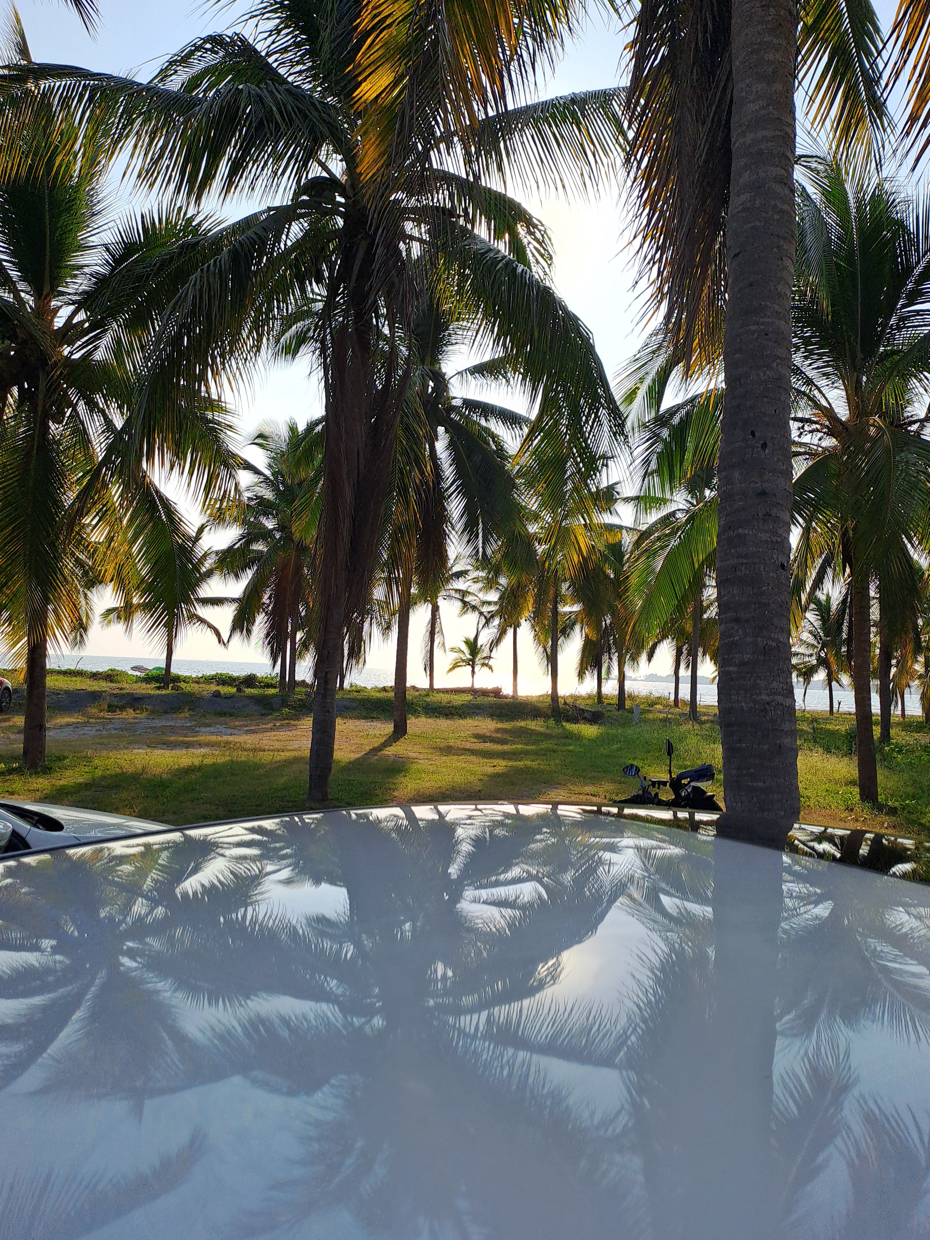 Mr. Camarón image 4