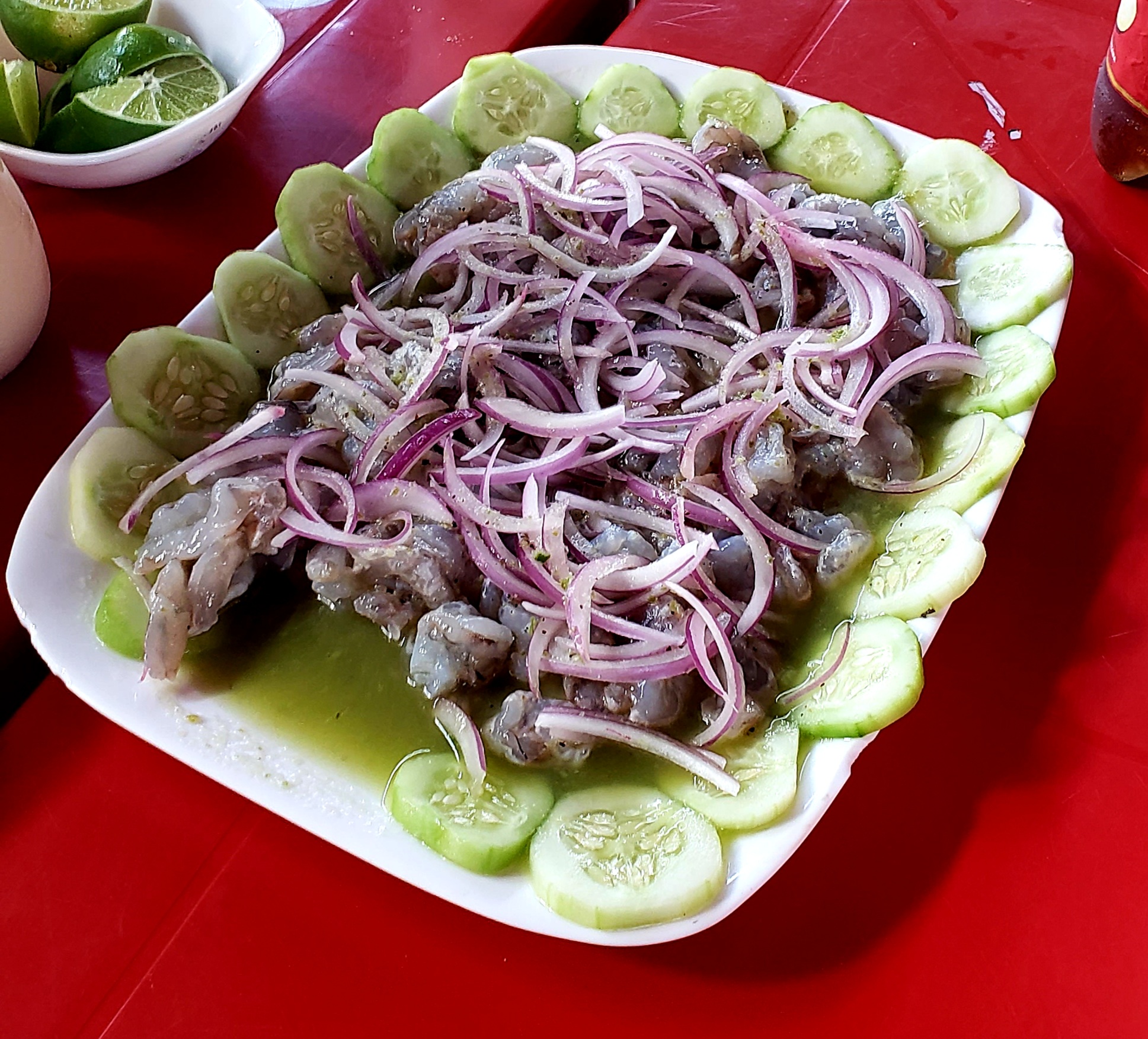 Mr. Camarón image 5