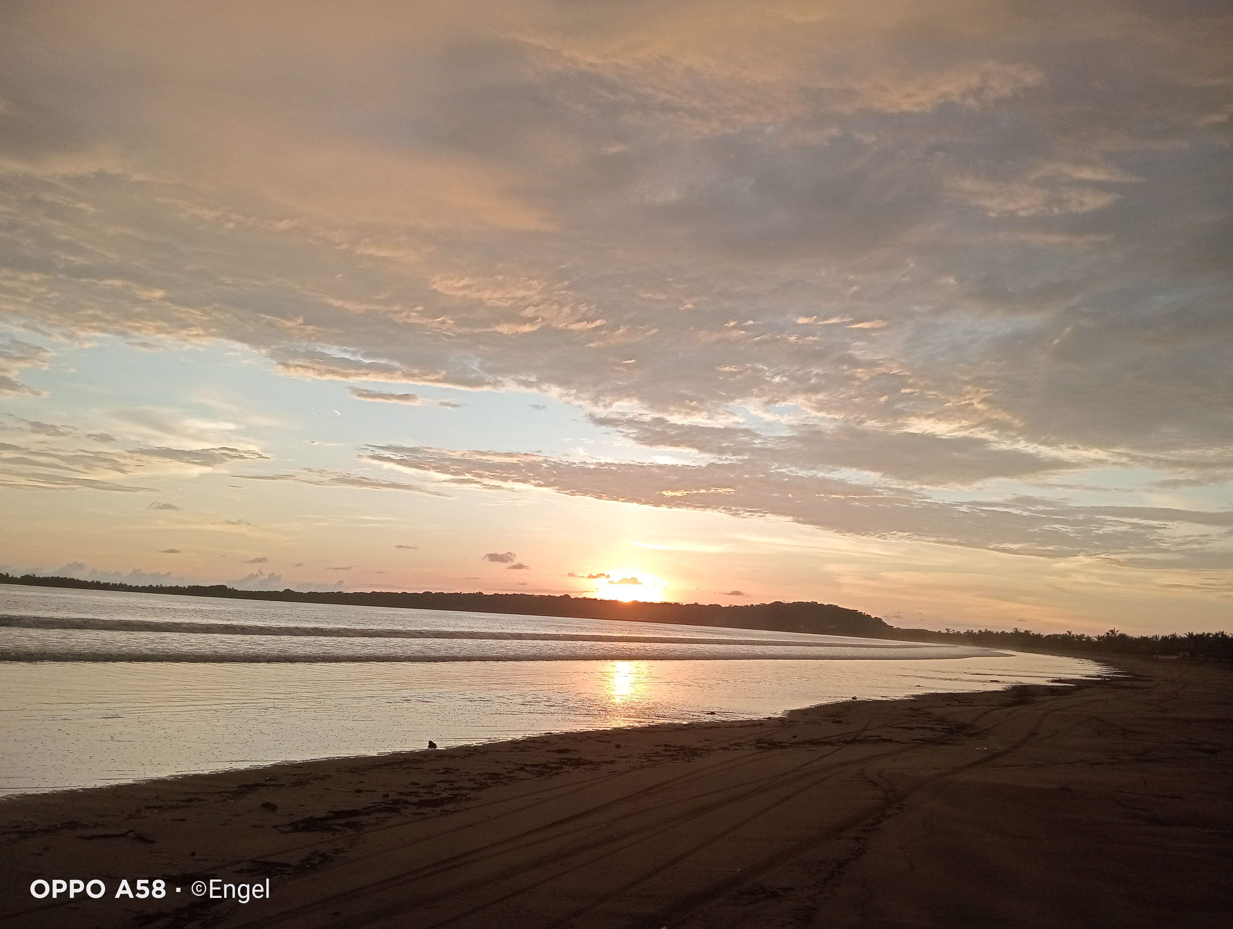 Mr. Camarón image 6