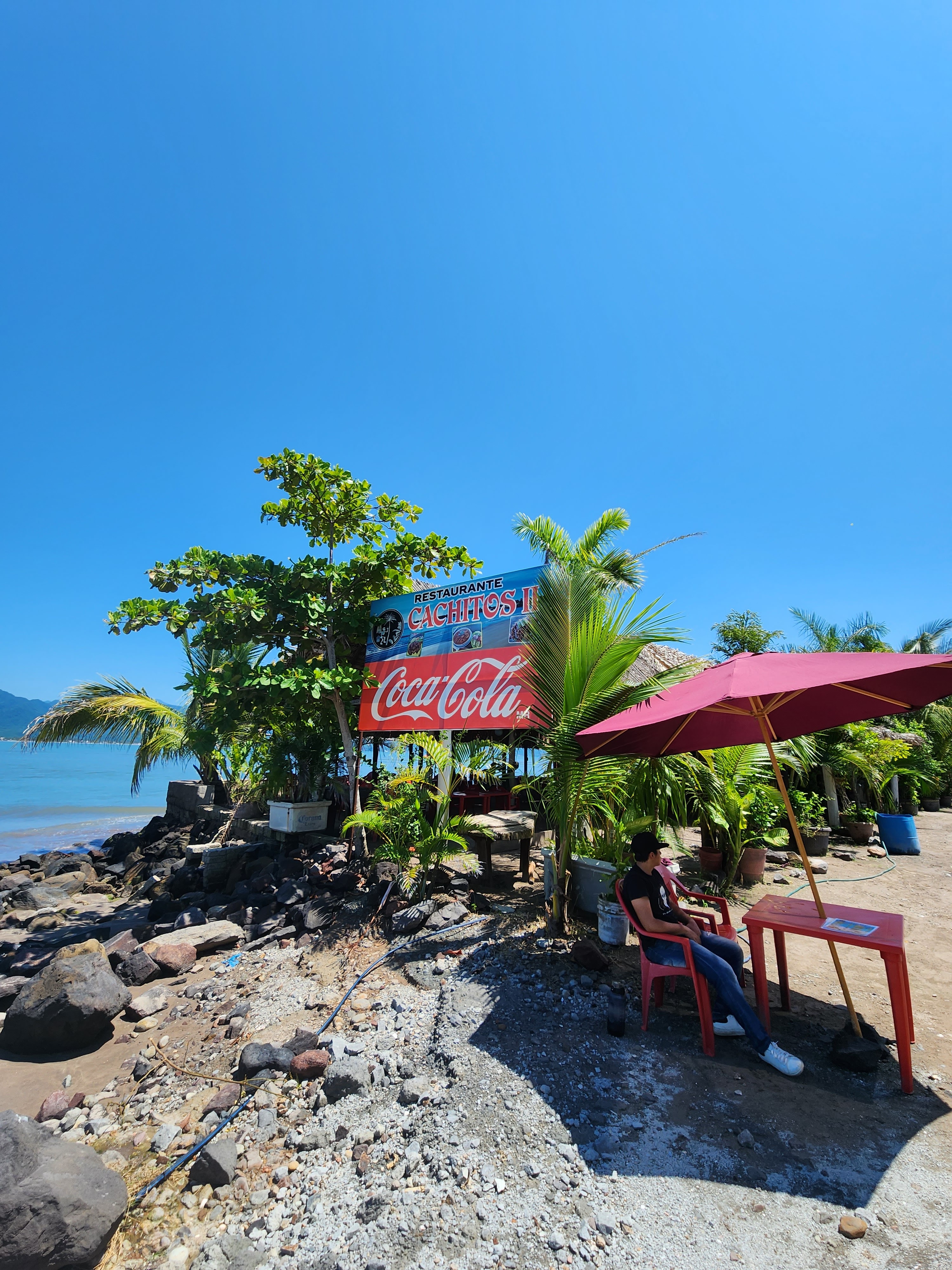 Restaurant "Los Cachitos" image 4