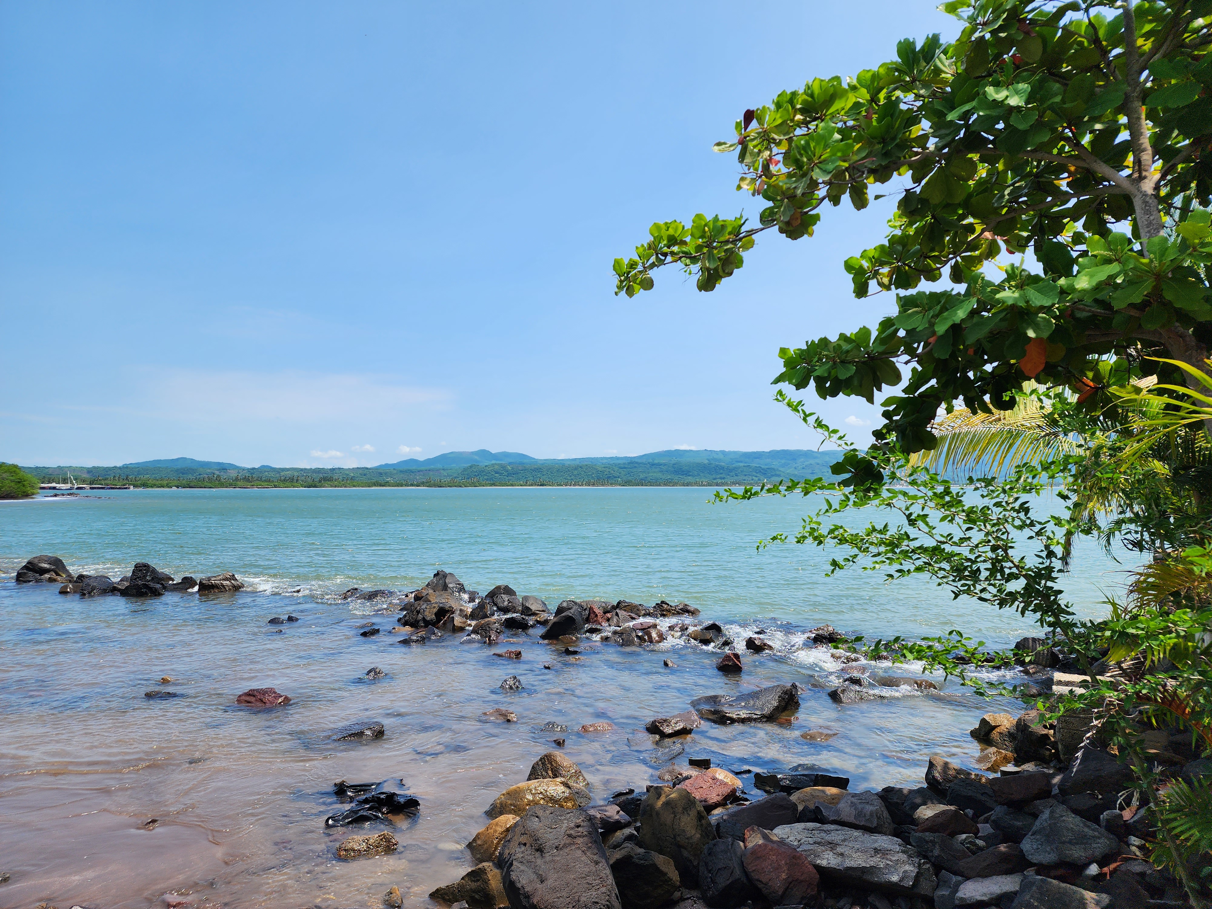 Restaurant "Los Cachitos" image 5