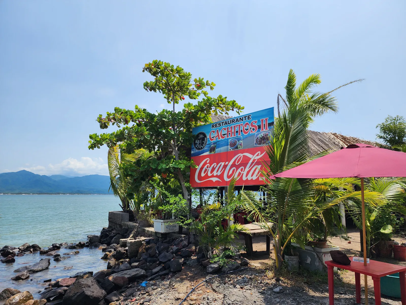 Restaurant "Los Cachitos" image 6