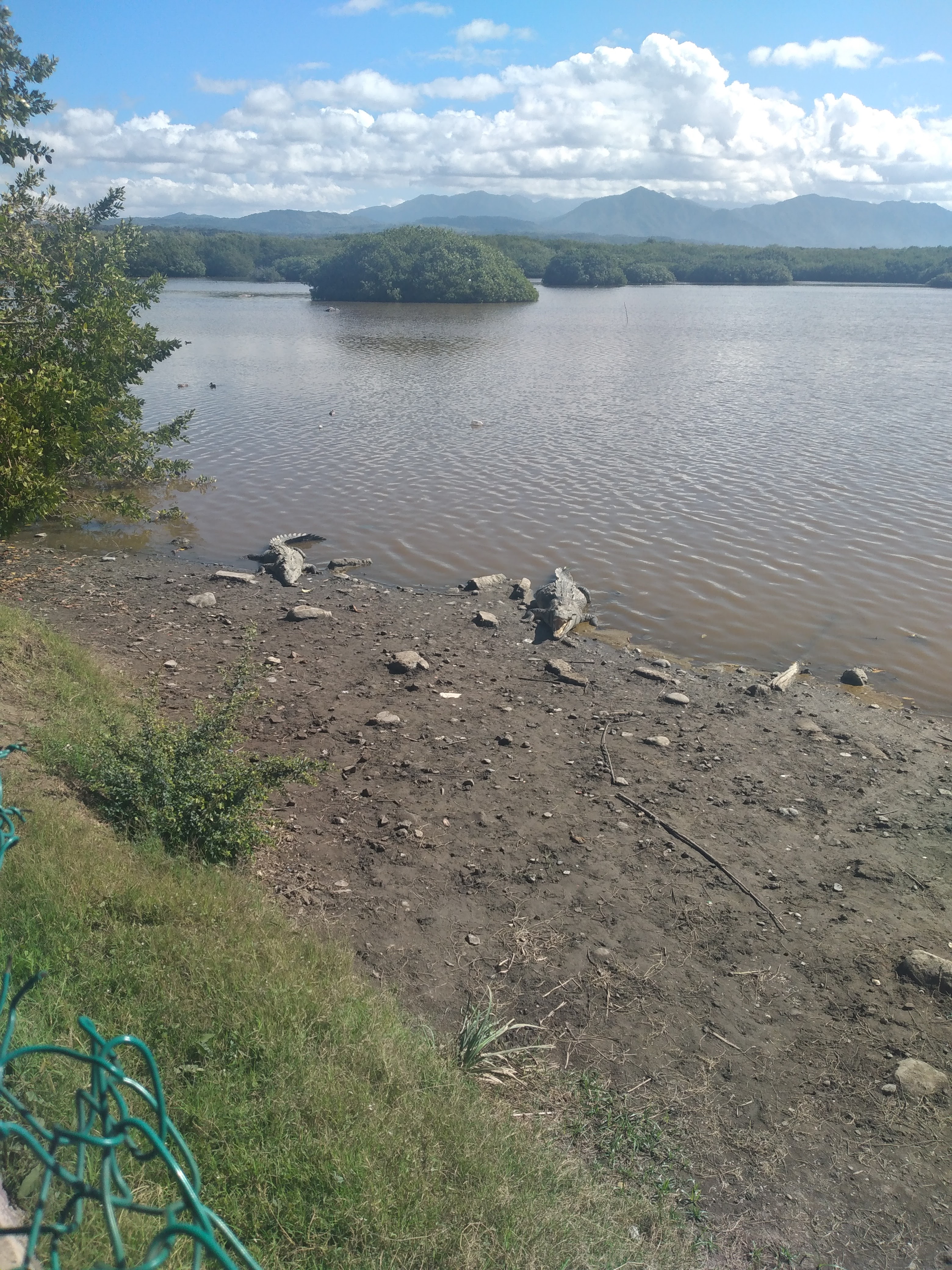 Restaurant “El Bosque” Playa Las Islitas, San Blas, Nay. image 5