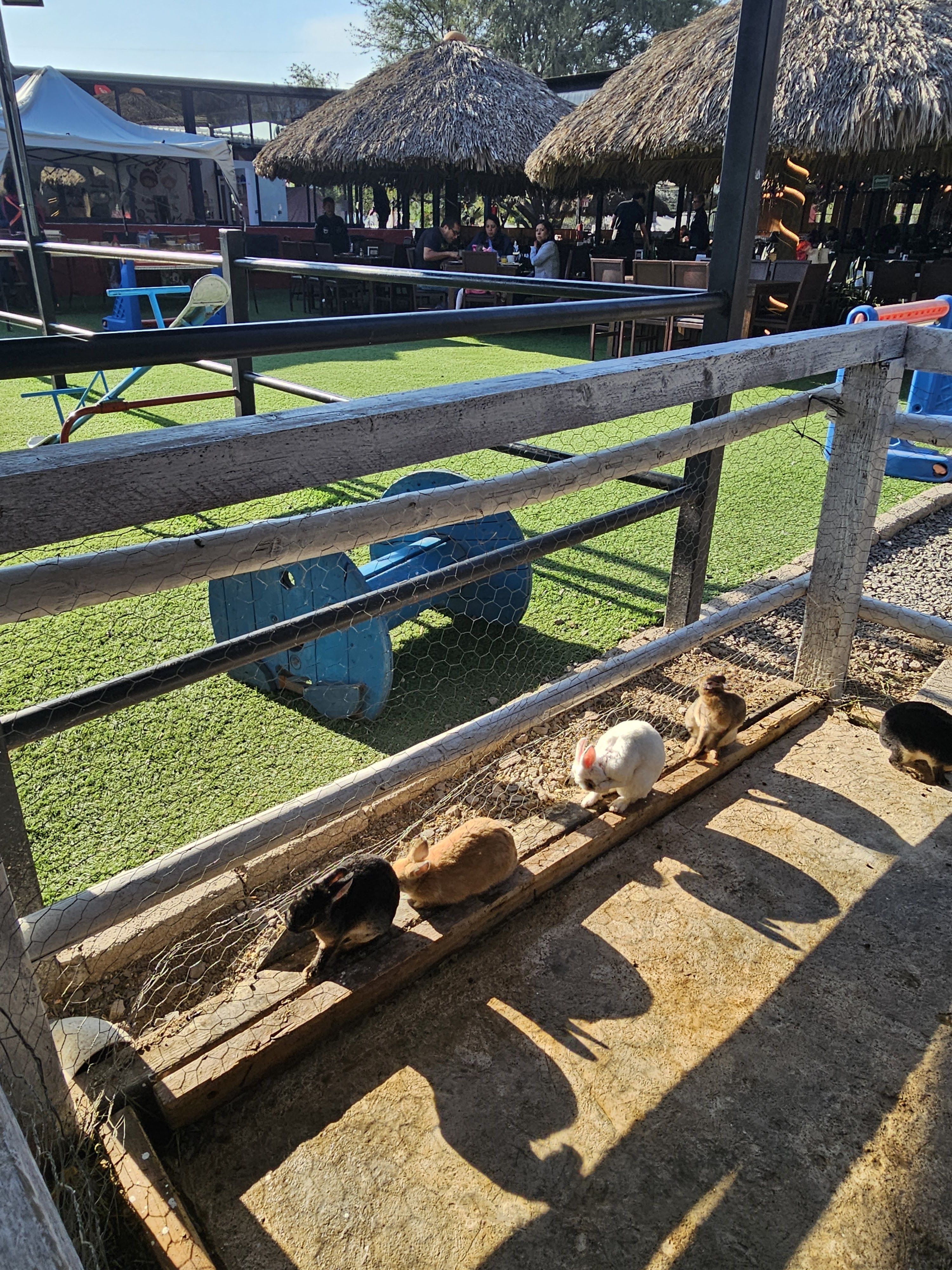 La Granja del Carmen image 6