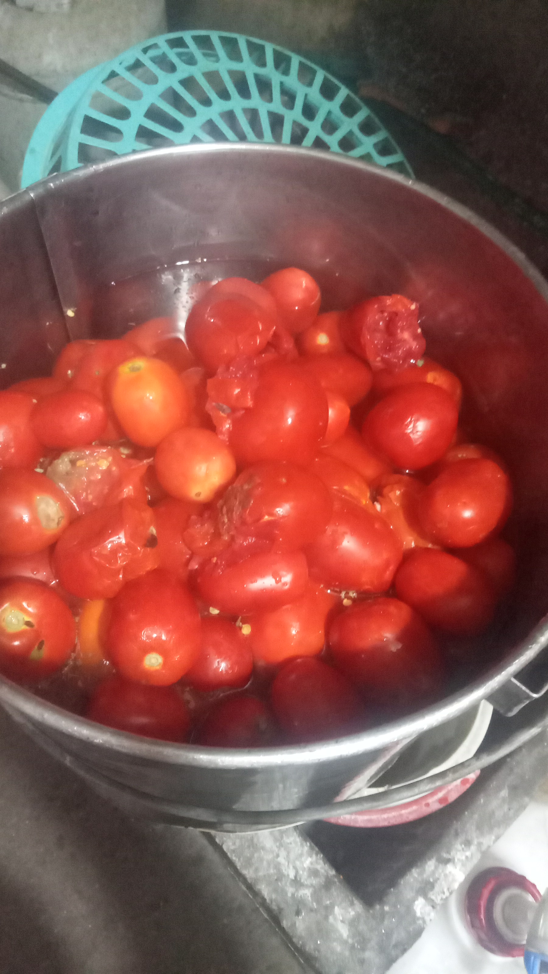 EL TAPATIO birria tatemada tradicional de guadalajara image 4