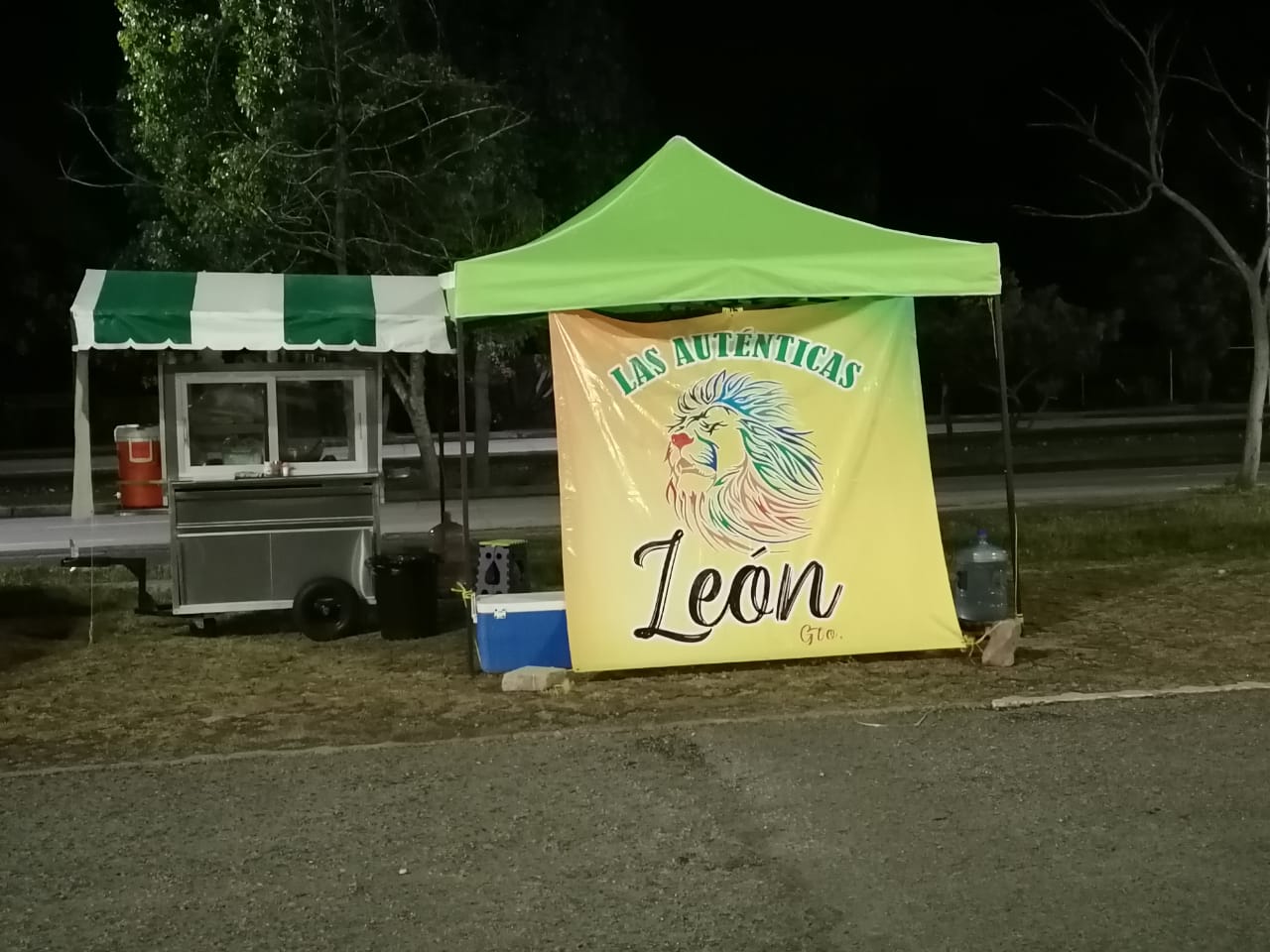 Las auténticas guacamayas image 2