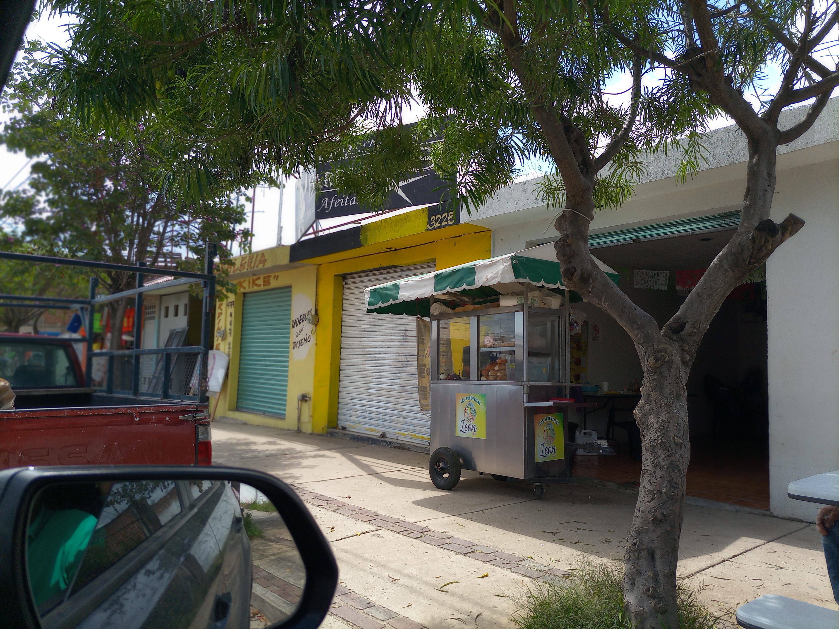 Las auténticas guacamayas image 3