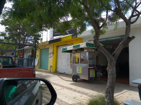 Las auténticas guacamayas image 3