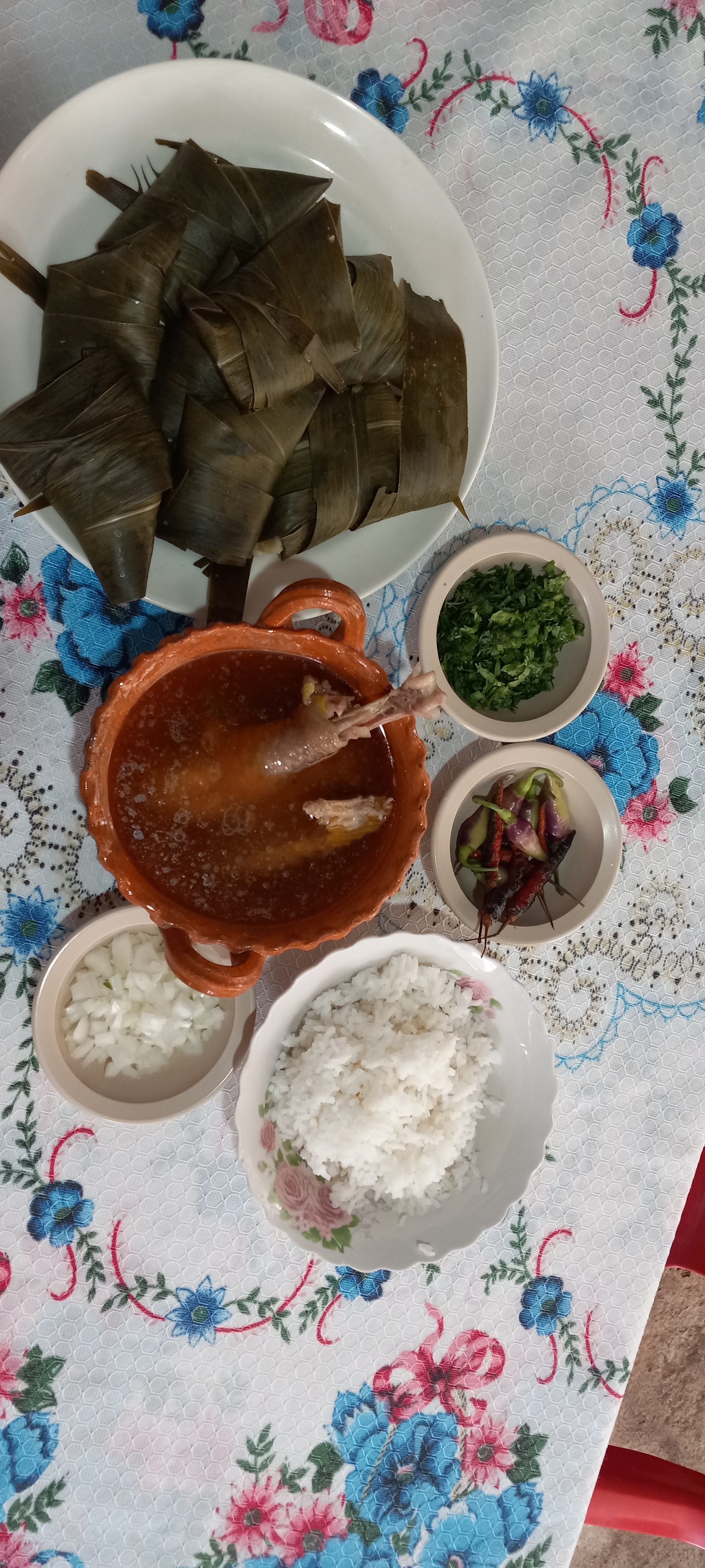 Rivera morelos image 2