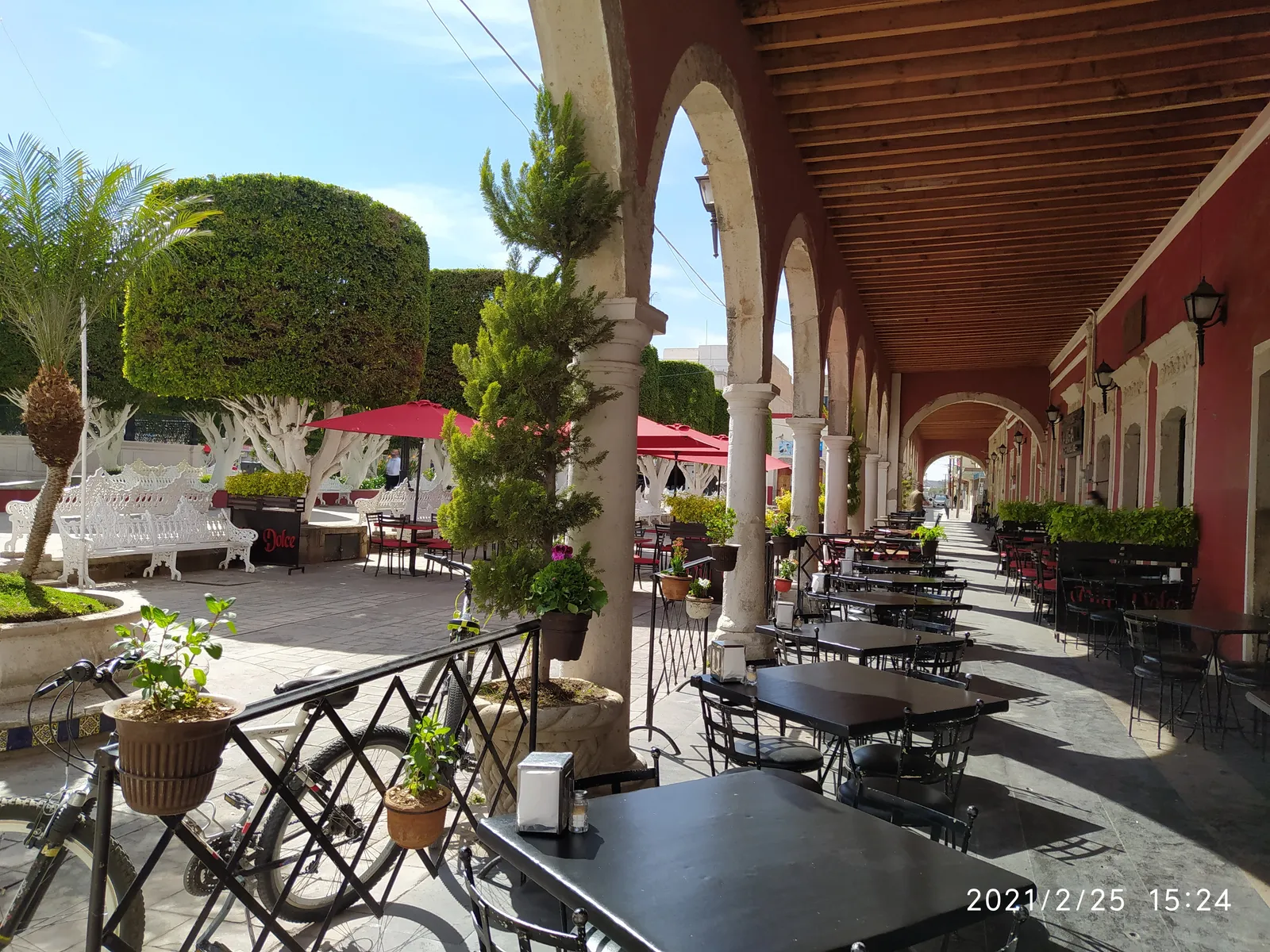 Mangia image 1