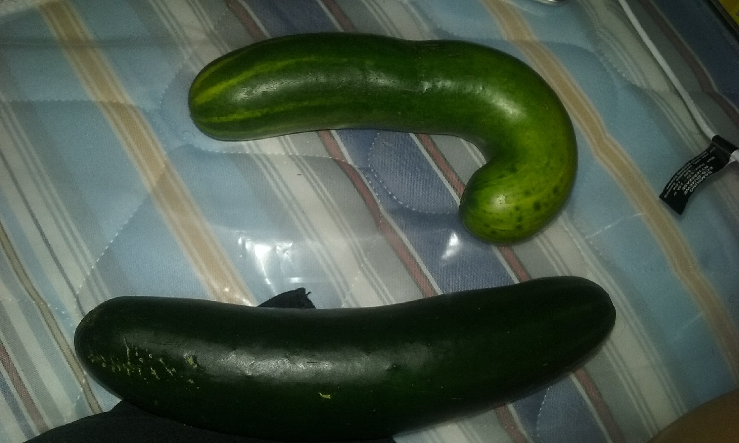 TAQUERIA MARGARO image 10