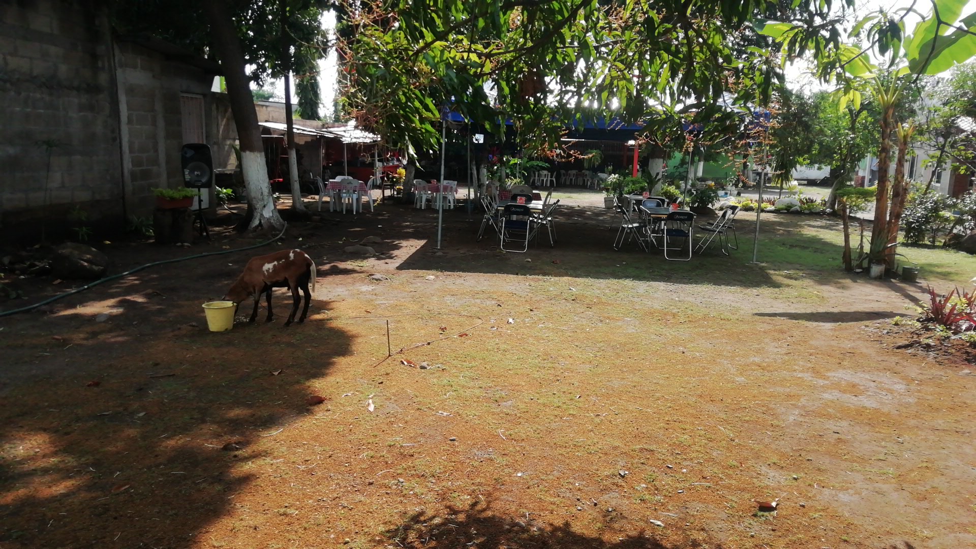 Restaurante Barbacoa Santa cruz image 10
