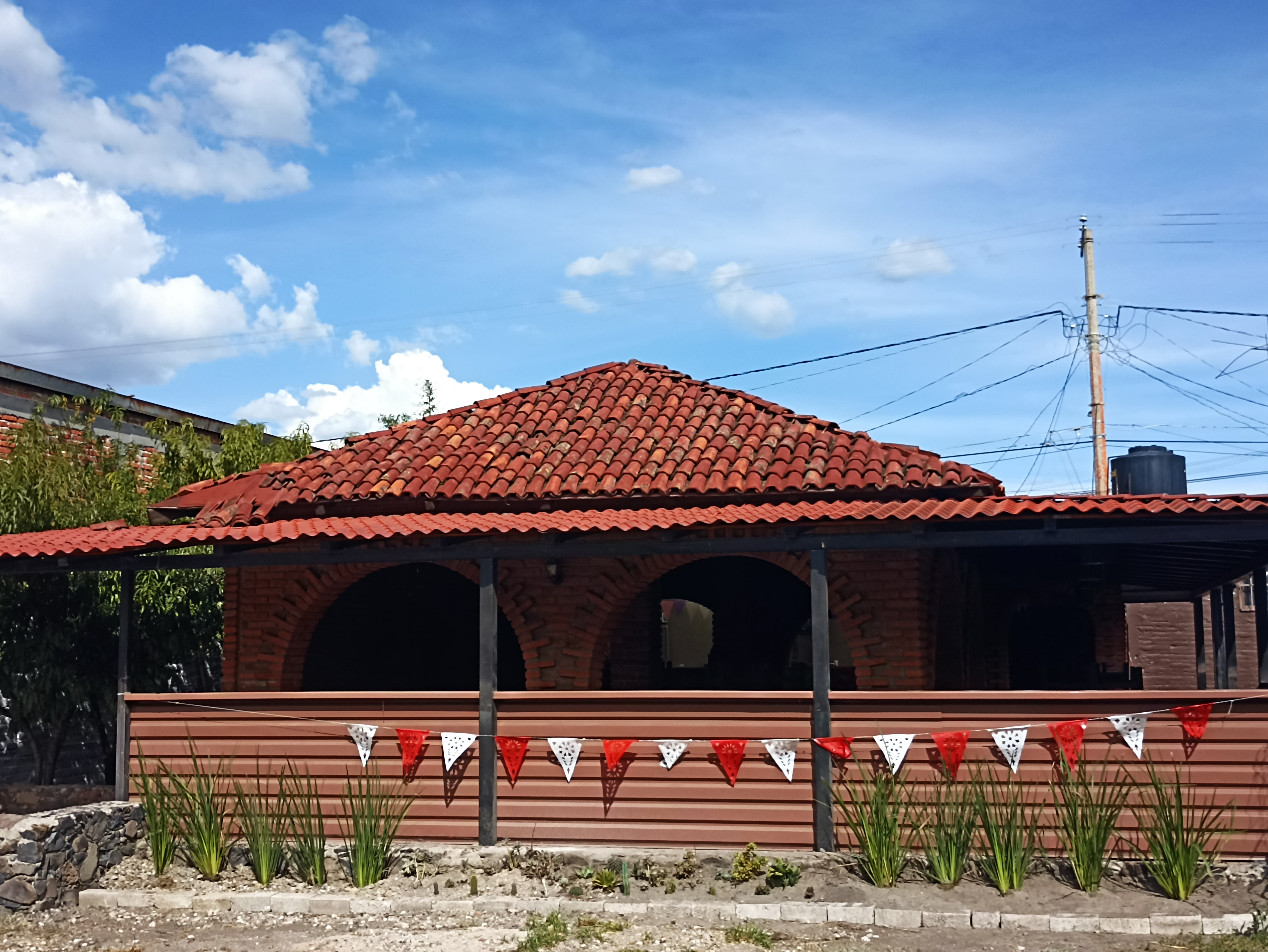 LA SUCULENTA image 2