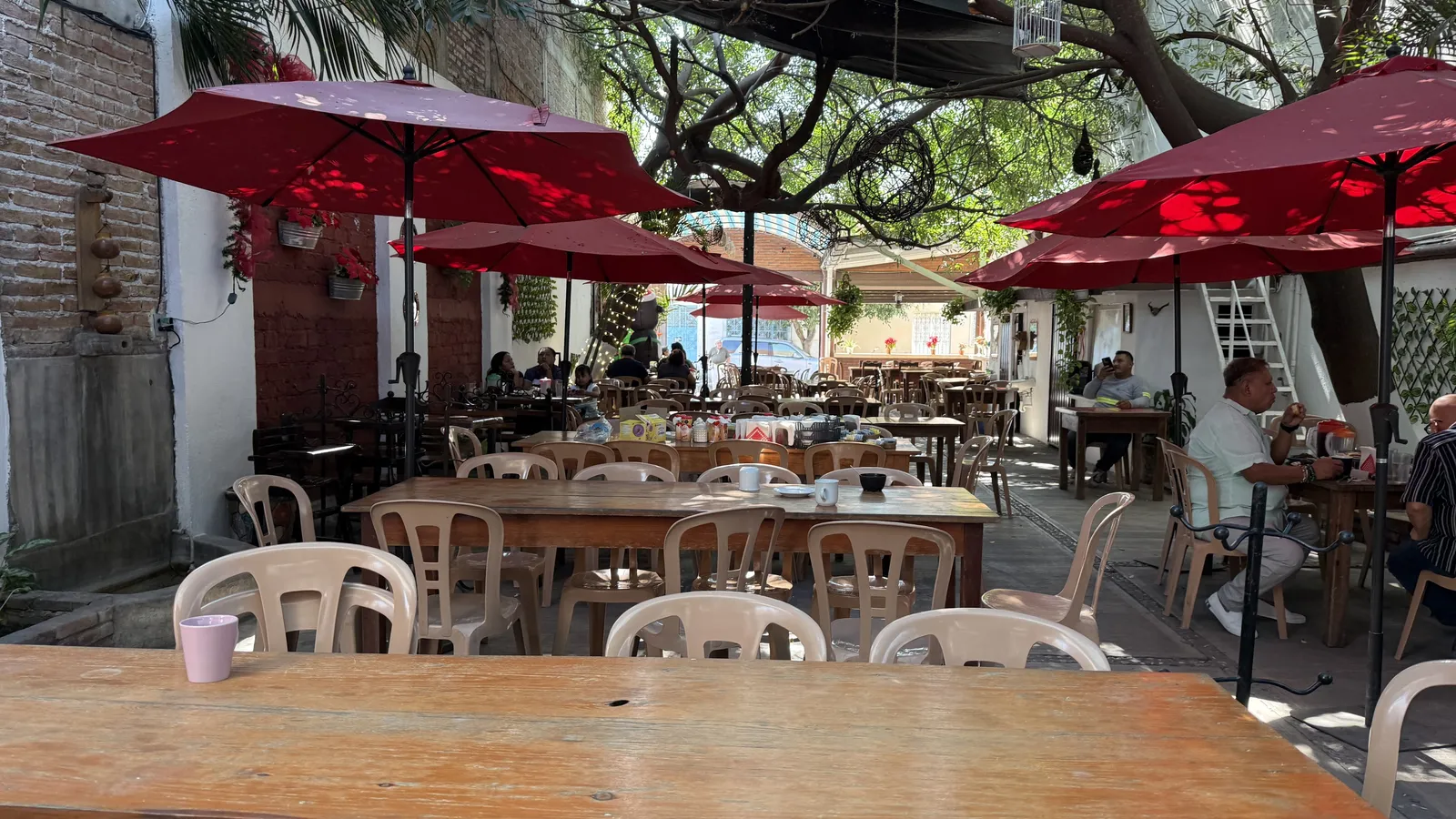 El Arroyo image 1