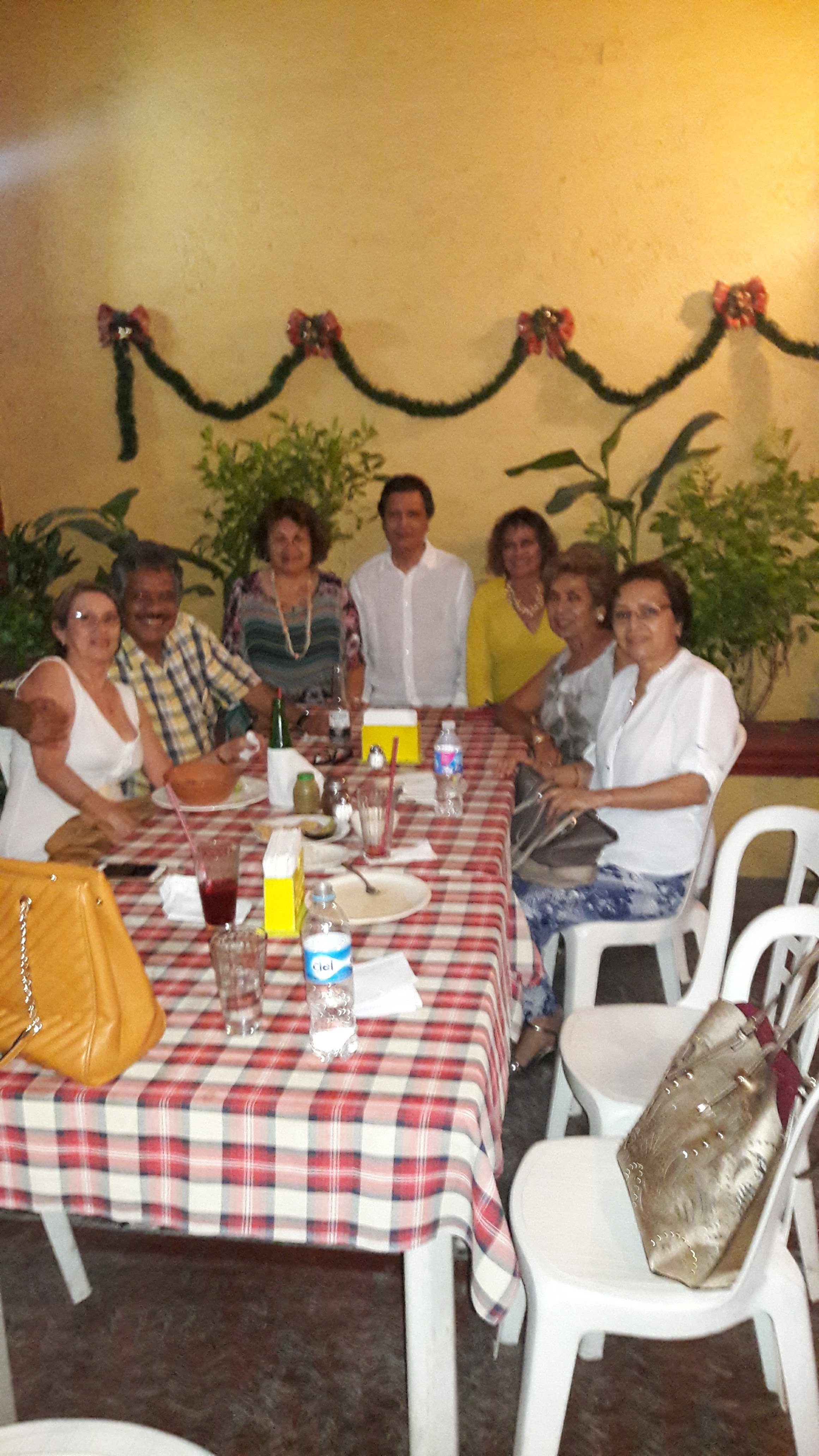 Río Escondido image 9