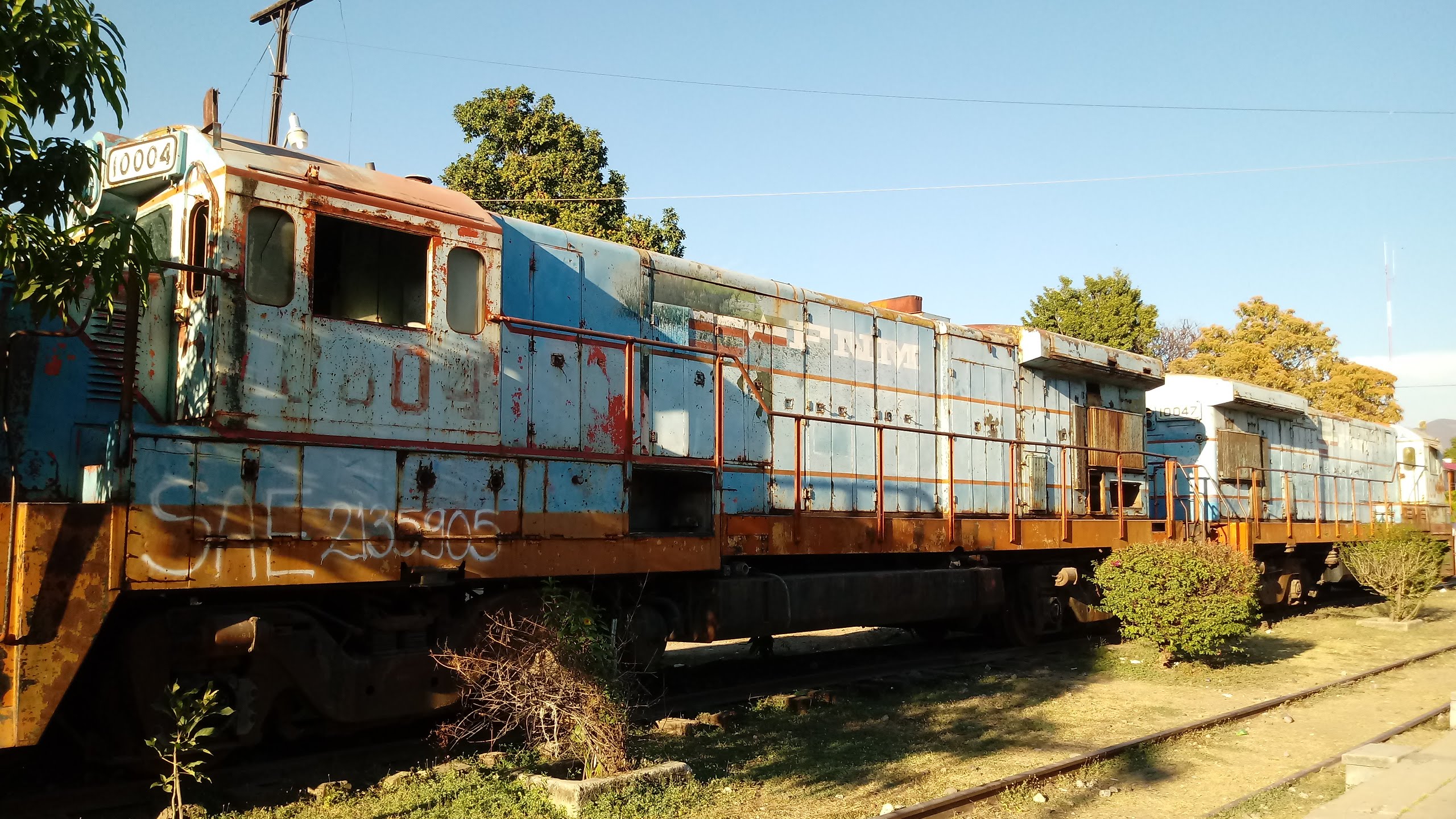 Alberto's Pizza image 4