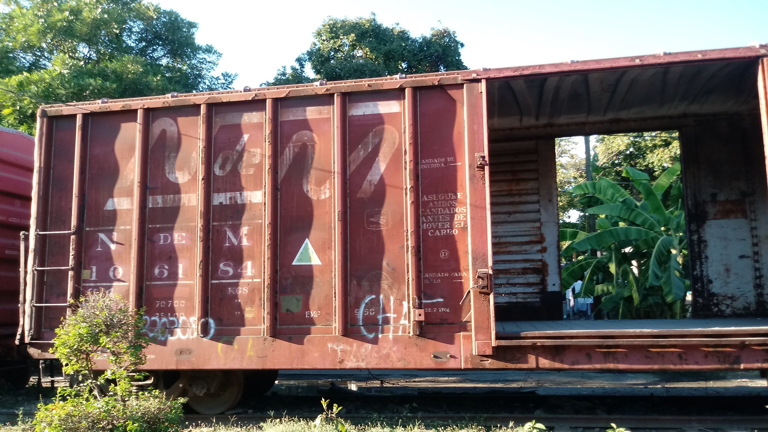 Alberto's Pizza image 6