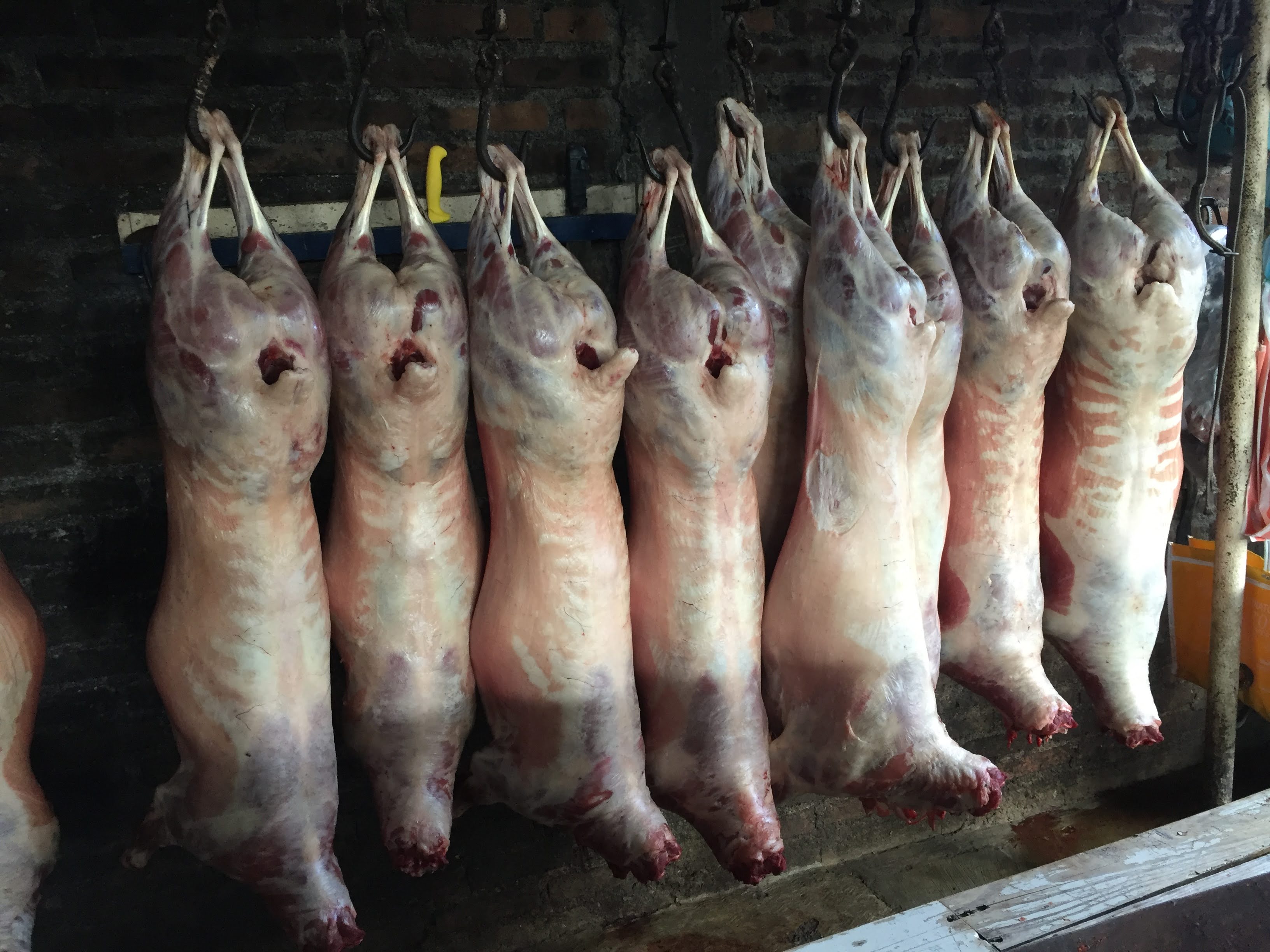 Barbacoa "Don Paco" image 6