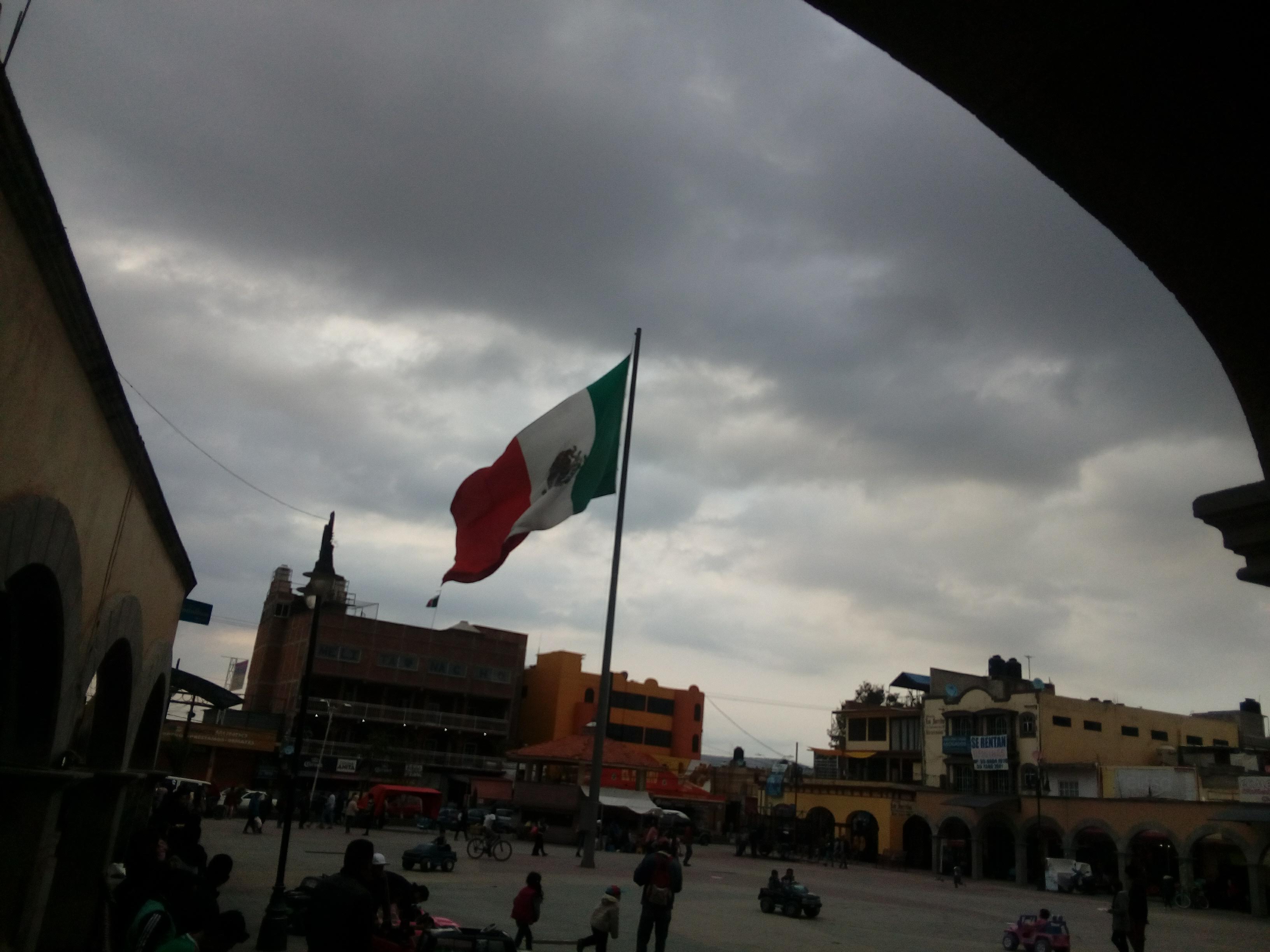 pollo frito LARRYS (estilo kentucky) image 10