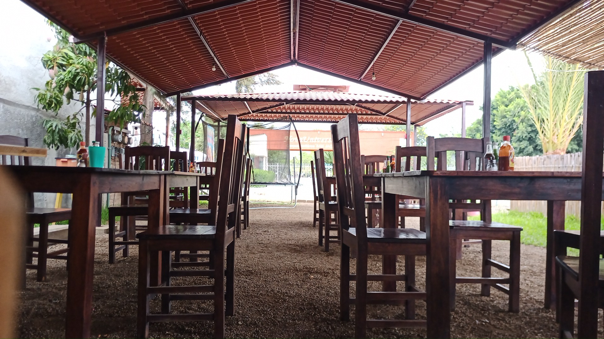 Marisquería Estrella de Mar image 3