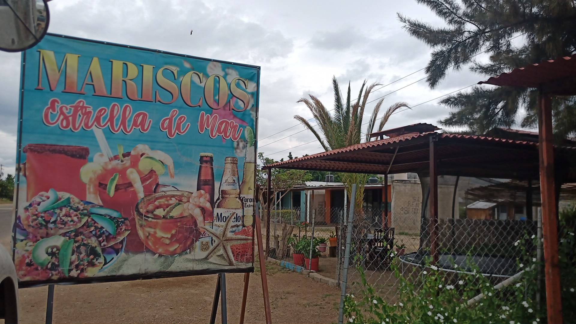 Marisquería Estrella de Mar image 4