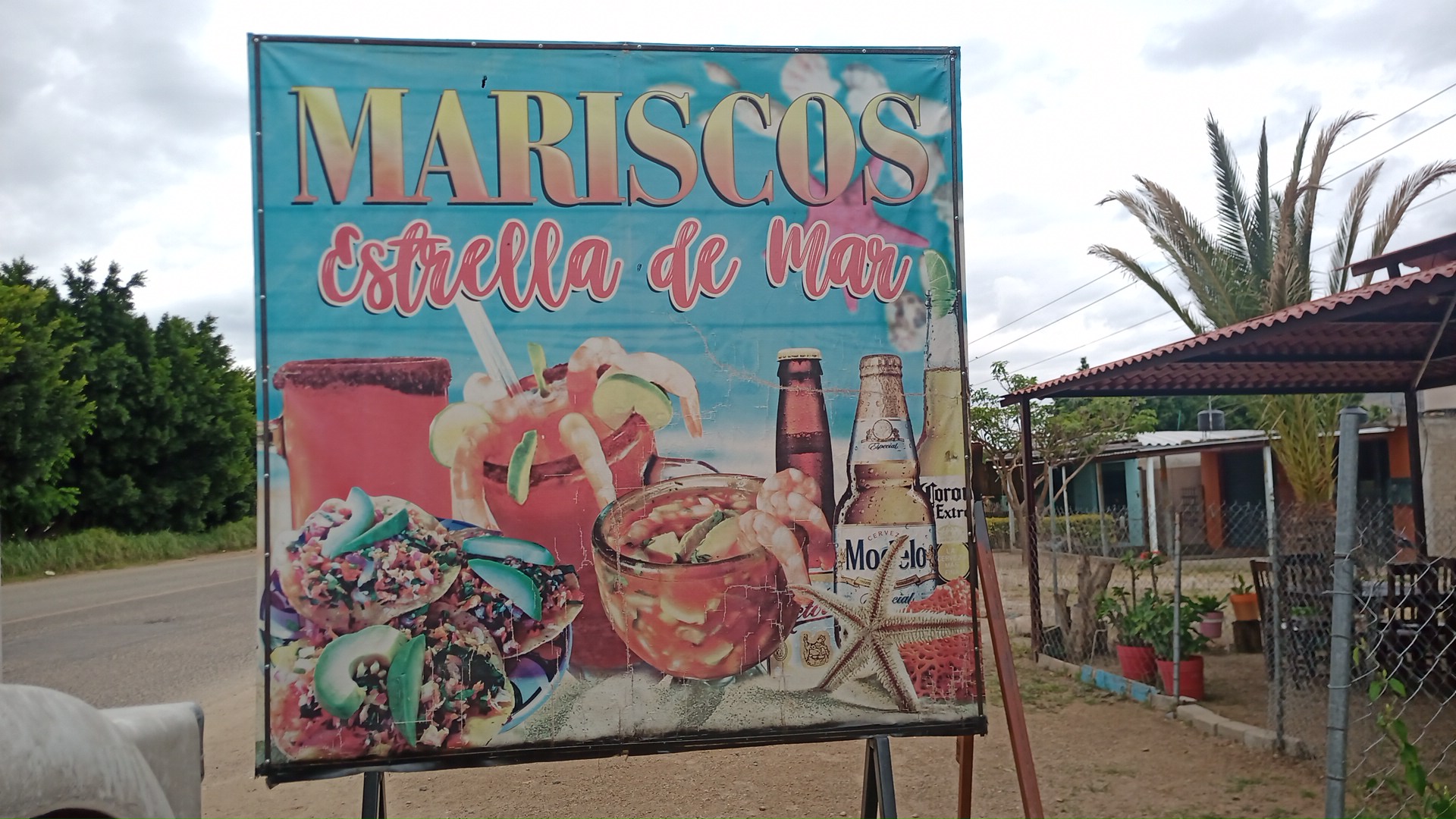 Marisquería Estrella de Mar image 7