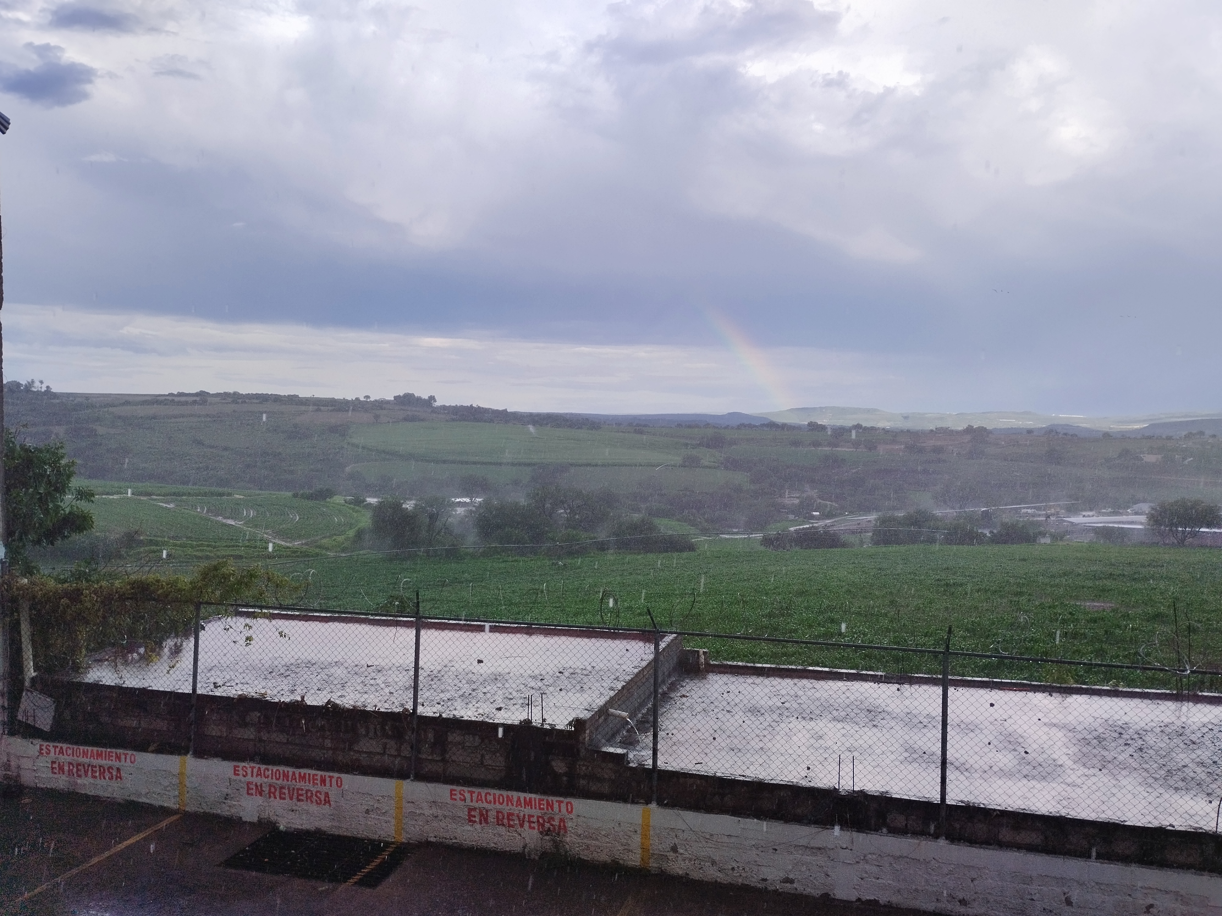 Carnitas Don Jorge image 3