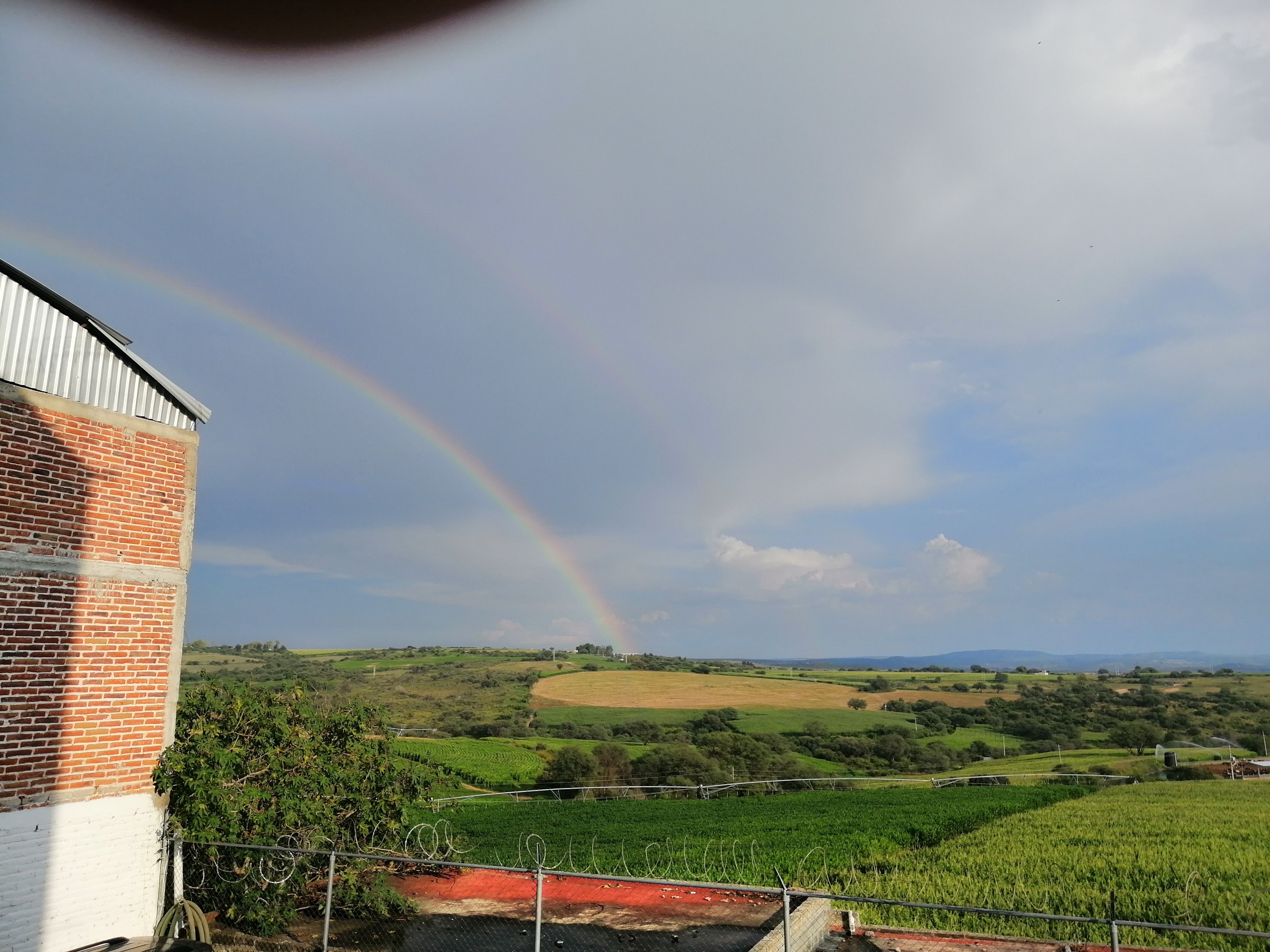 Carnitas Don Jorge image 9