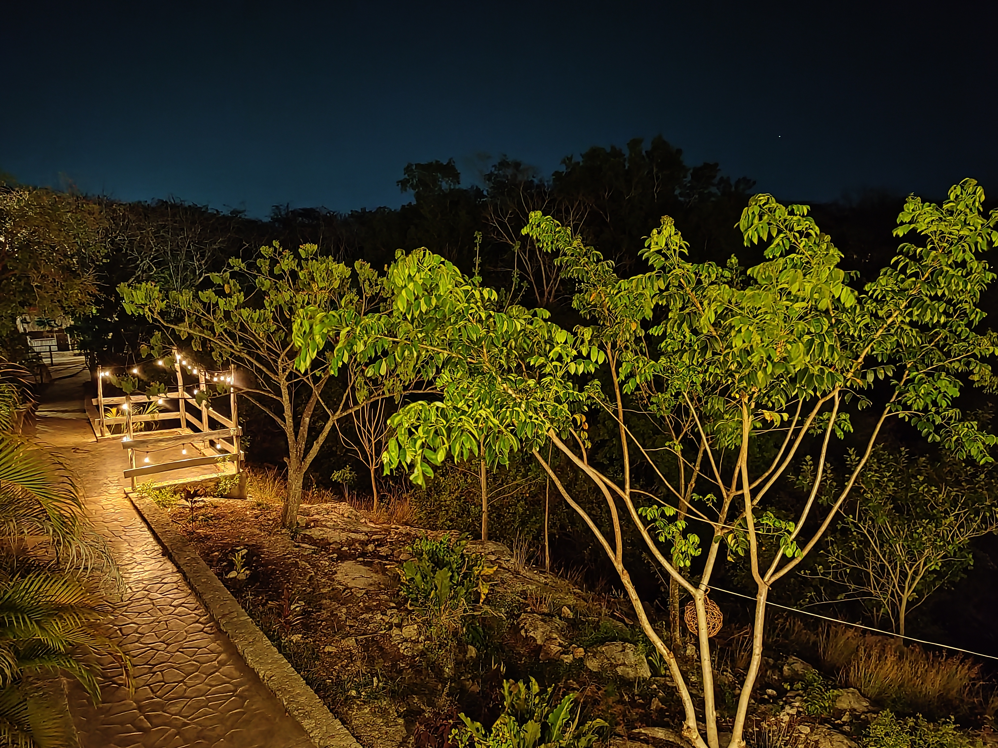 Restaurante La Colmena, by xkopek image 8