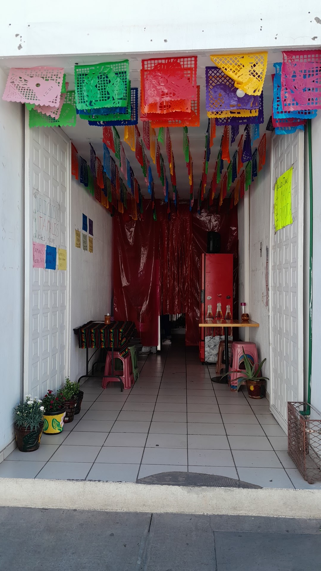 Mamá Ruperta image 1