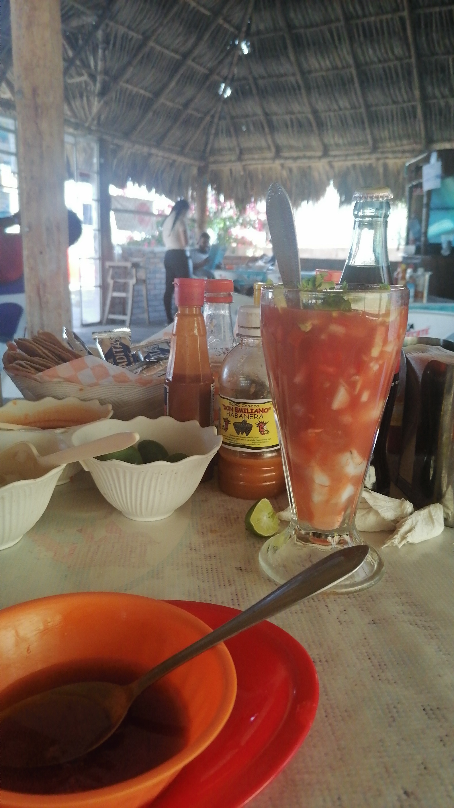 Palapa de Dany 4 image 2