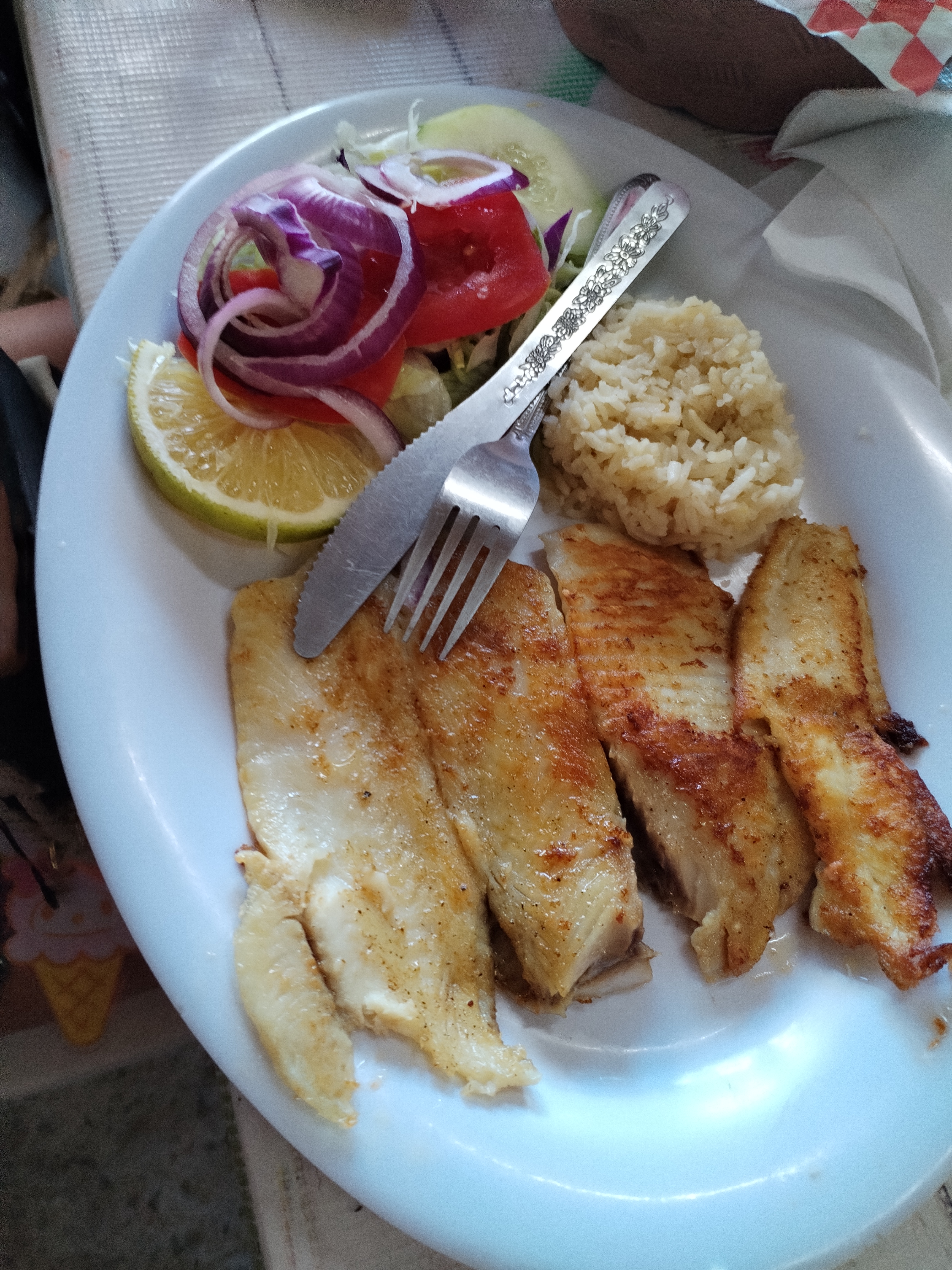 Palapa de Dany 4 image 5