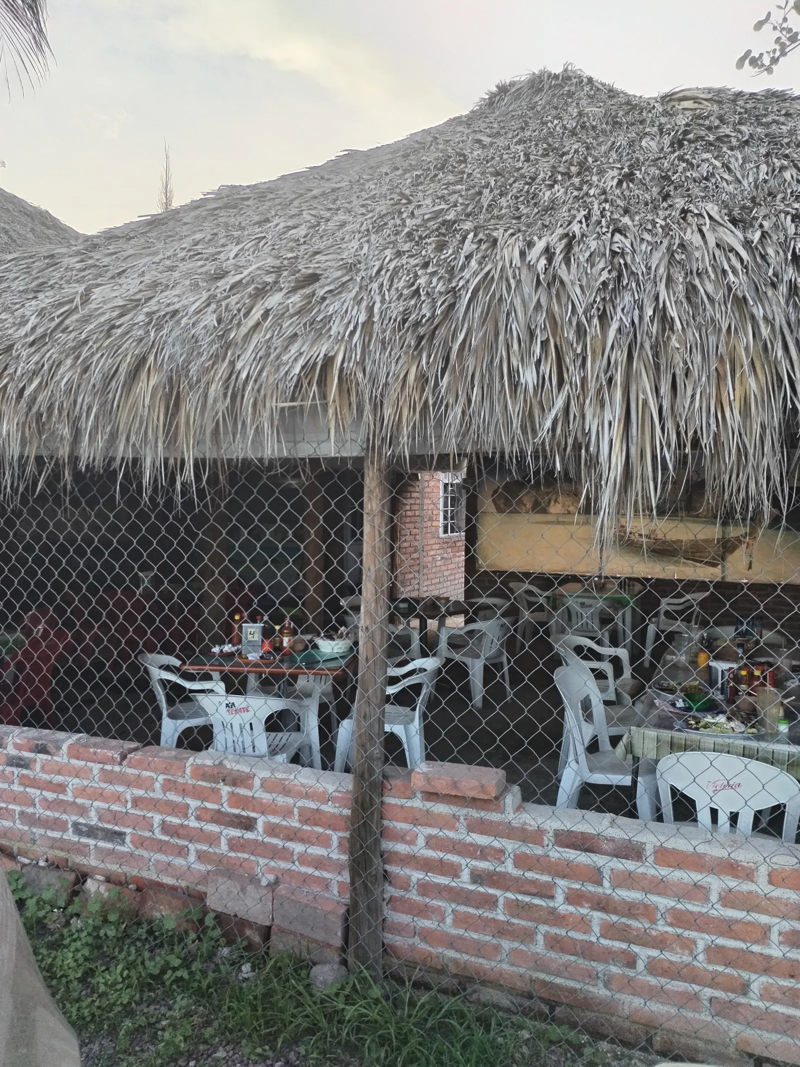 Palapa de Dany 4 image 7