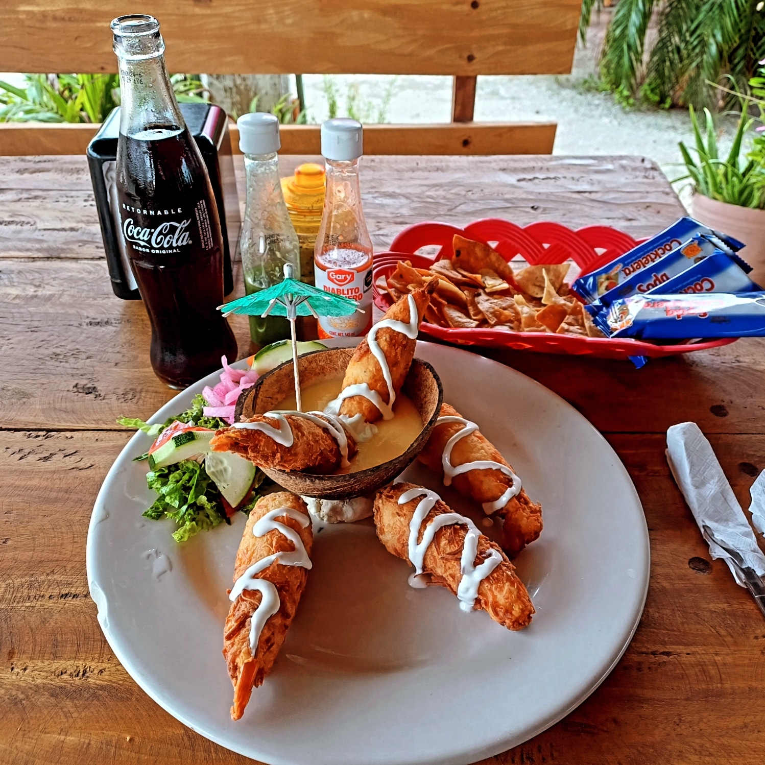 Palapa de Dany 4 image 10