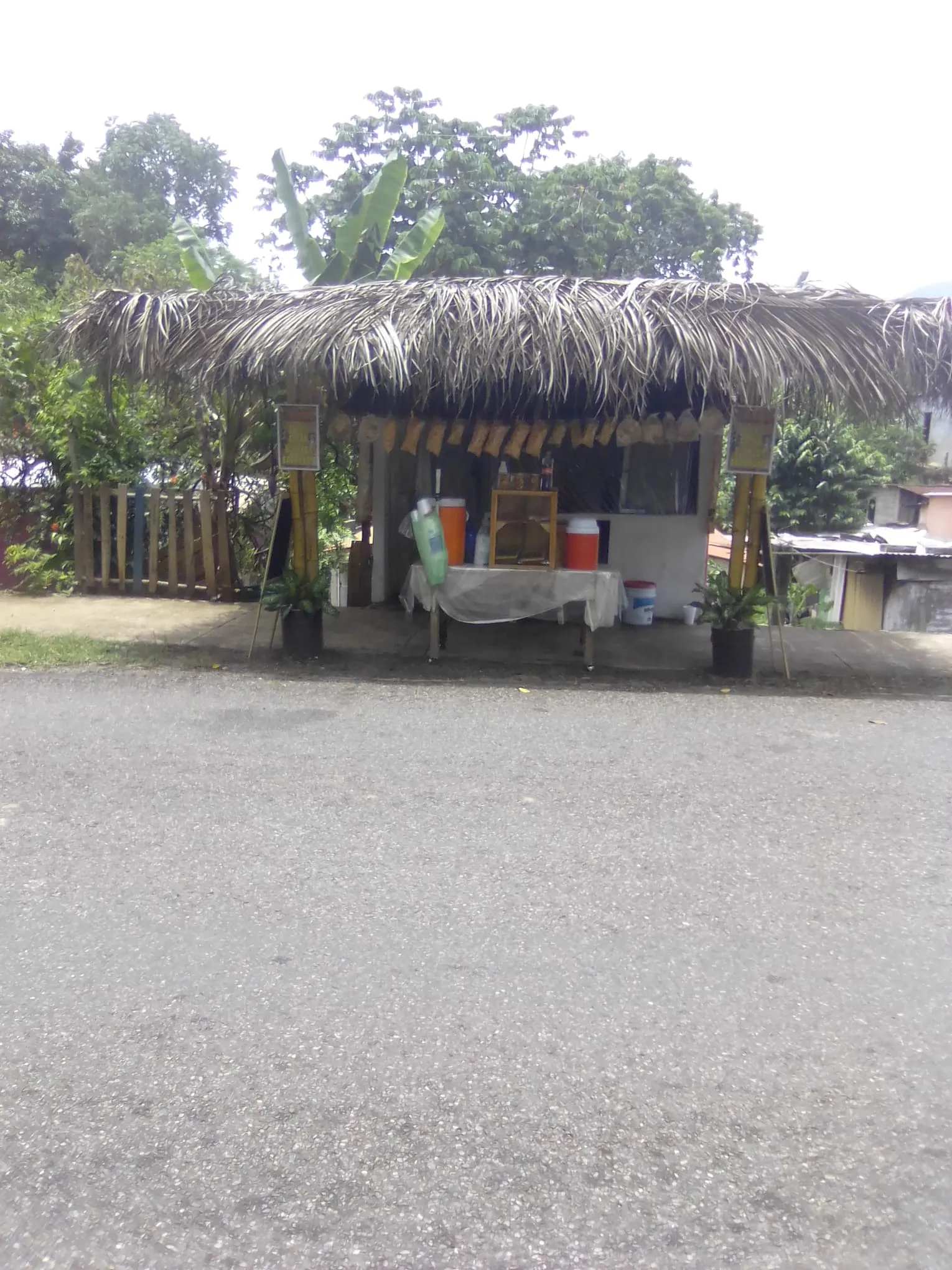 LA PALAPITA image 3