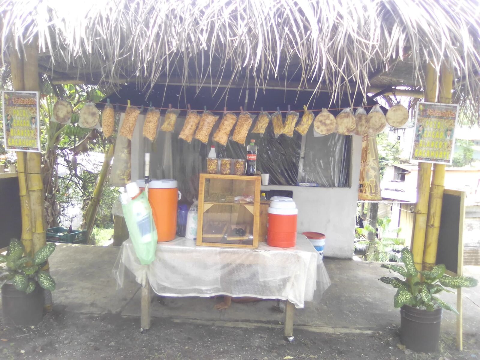 LA PALAPITA image 7