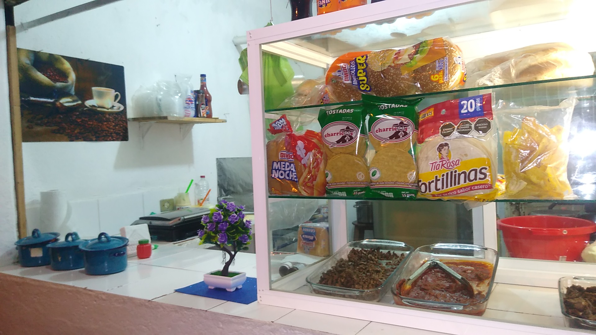 Blancas Mariposas 127 Teapa Tabsco image 1