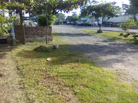 Asadero "Conny" image 4