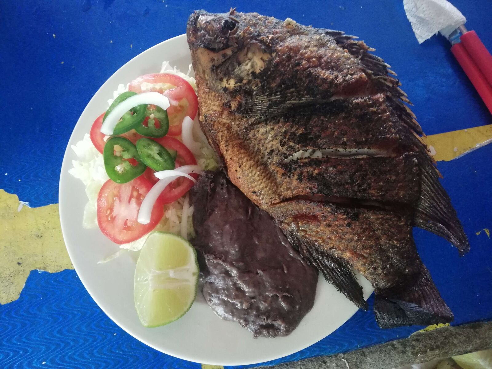 La palapa del tío boby km 23 image 3