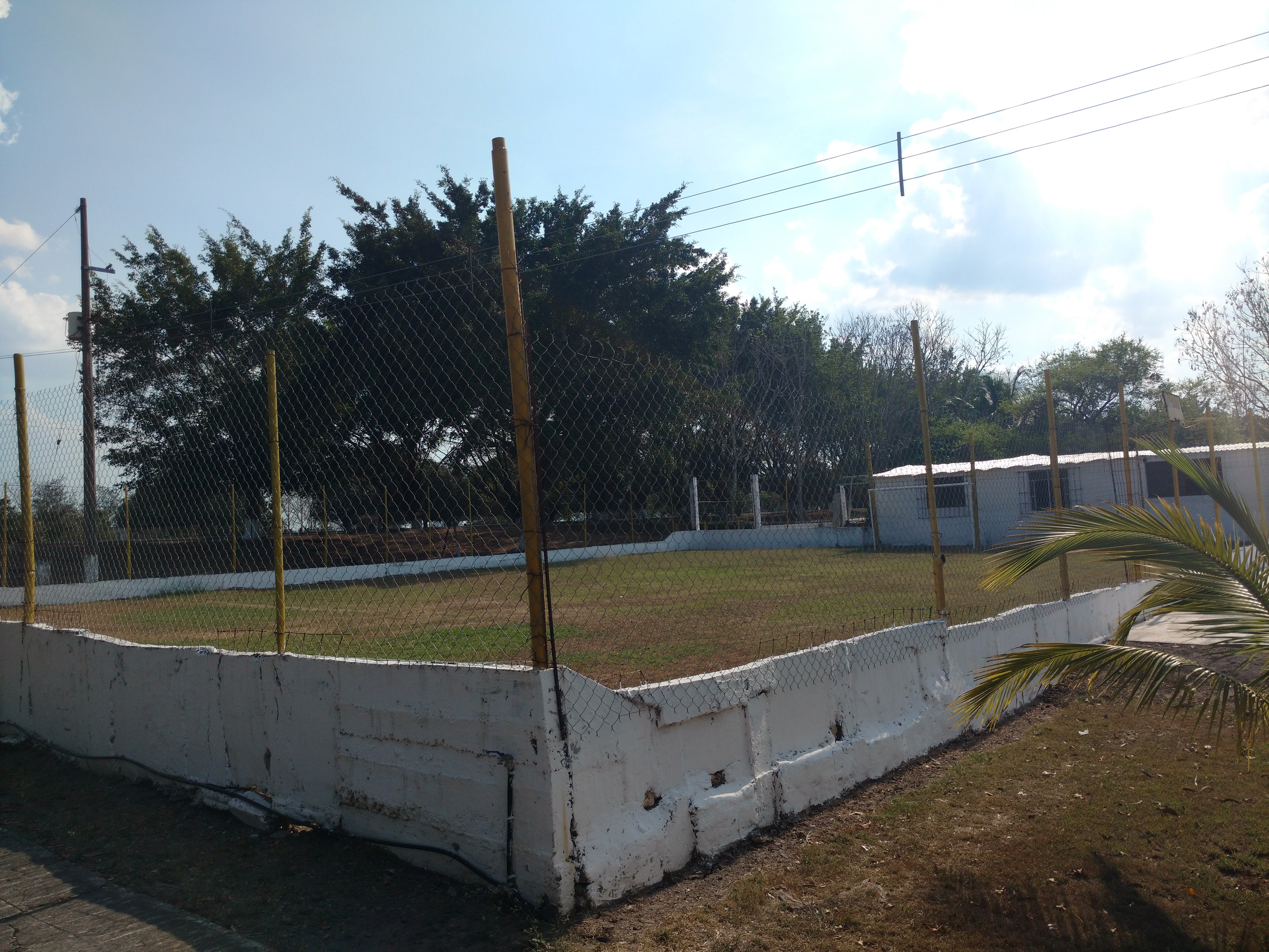 Hotel Paraíso De Los Mangos image 8