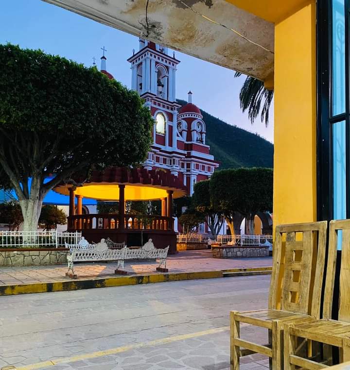 Fuente de sodas Los Nogales (jardín principal) image 1