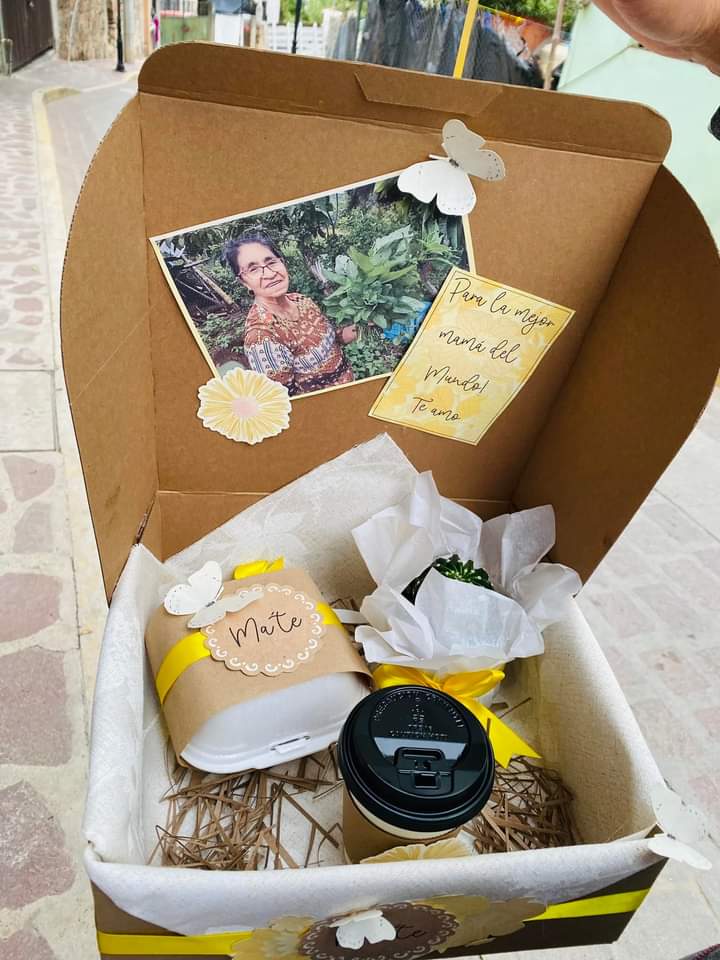 Fuente de sodas Los Nogales (jardín principal) image 3