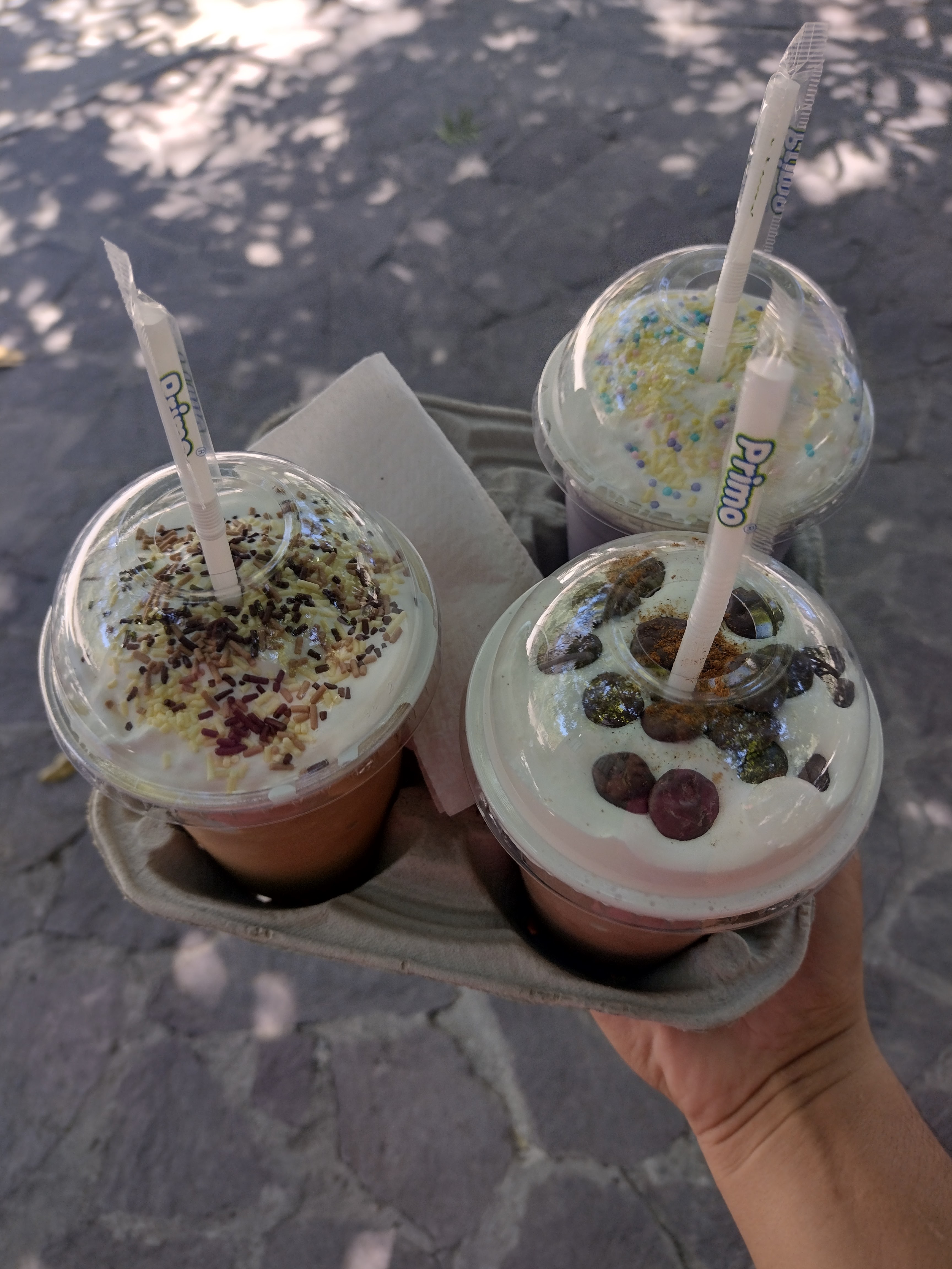 Fuente de sodas Los Nogales (jardín principal) image 5