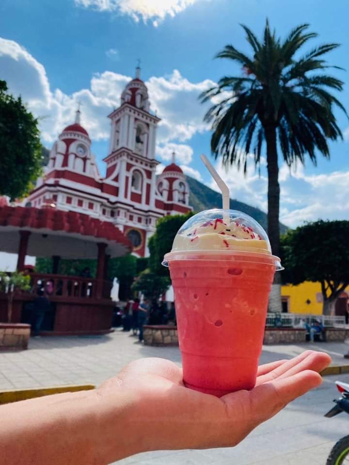 Fuente de sodas Los Nogales (jardín principal) image 7