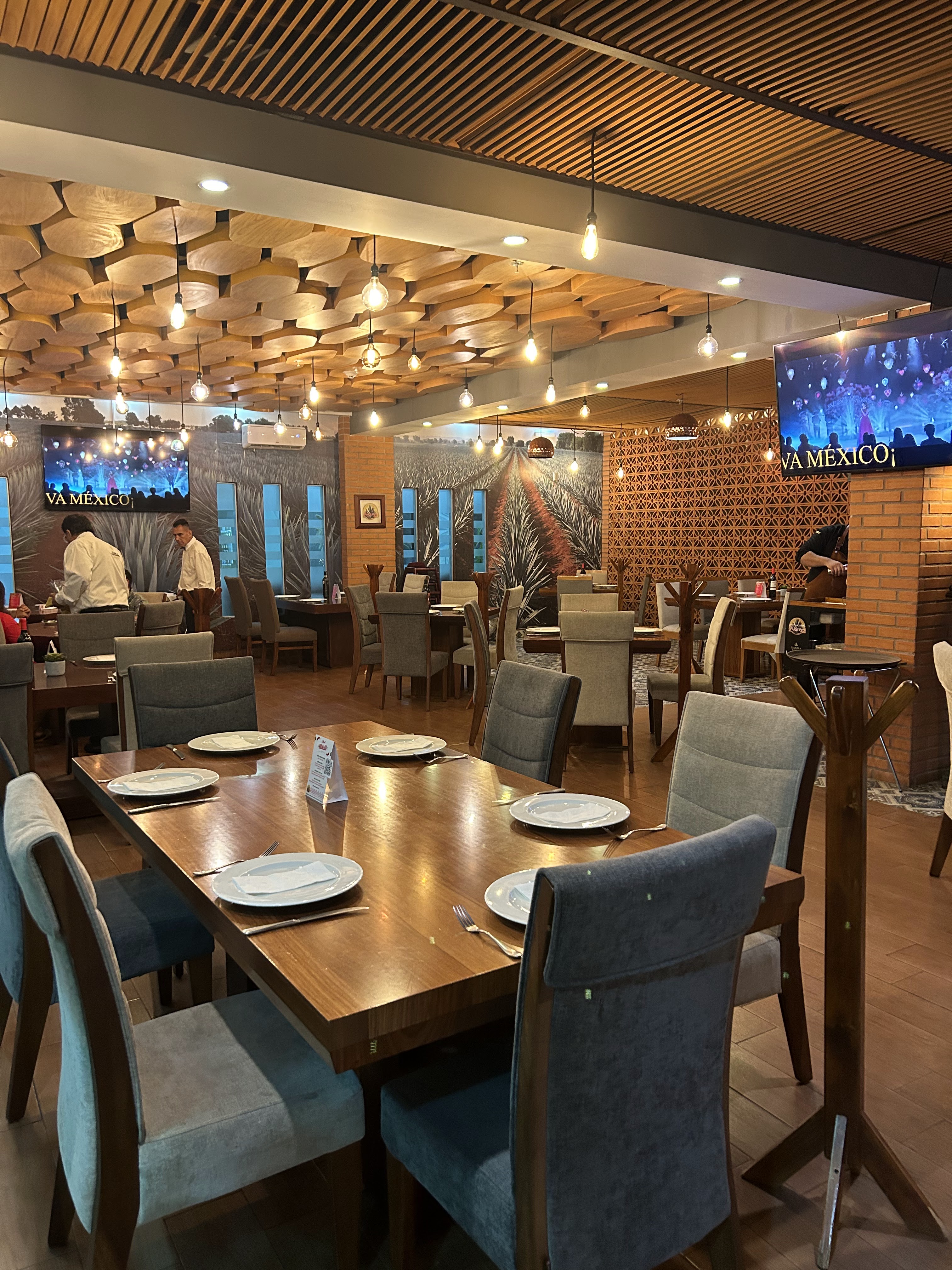 Agaves Tradicional image 1