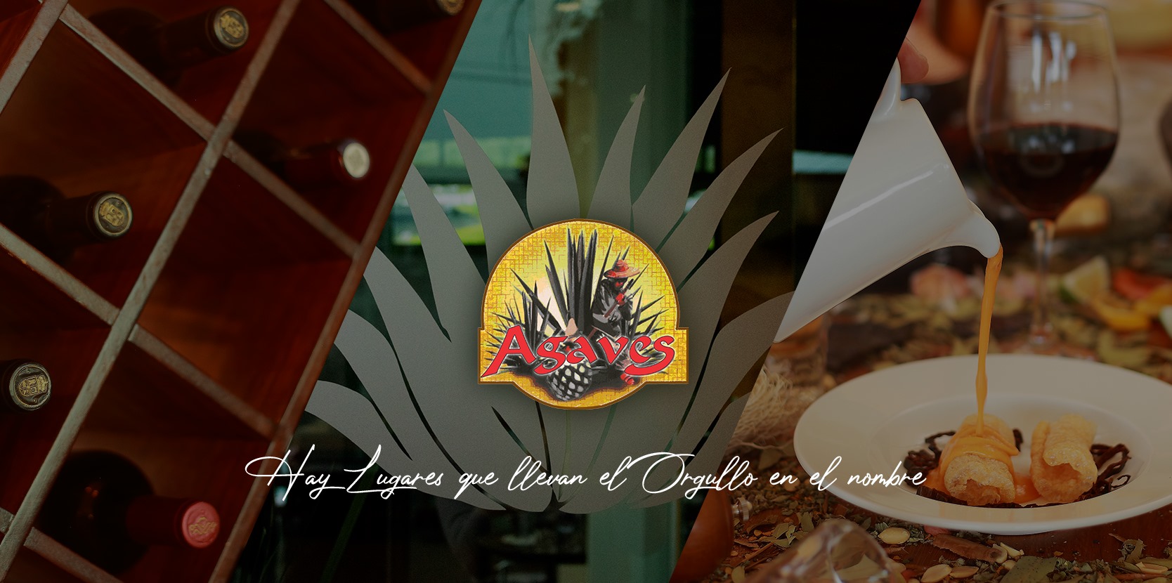 Agaves Tradicional image 3