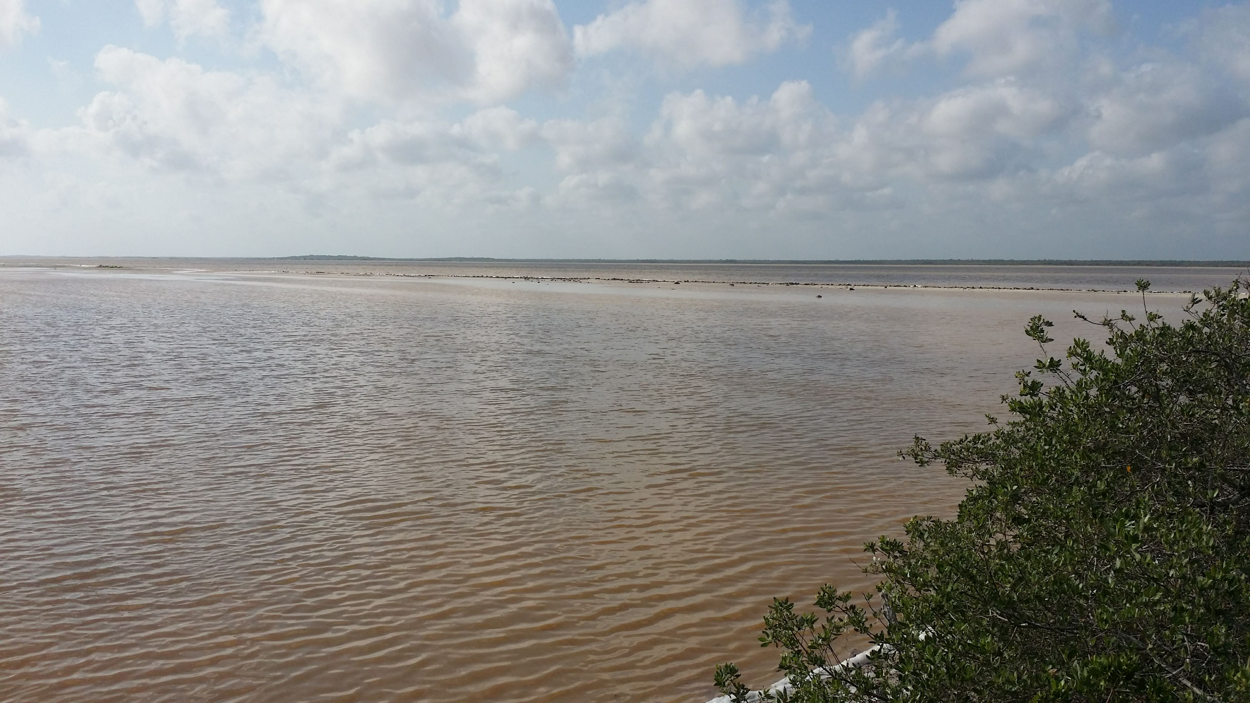 Pescadería El Amigo pato image 8