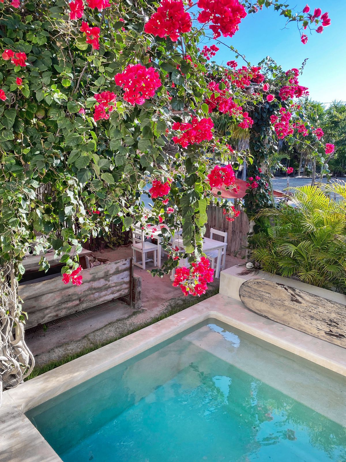 LunArena Restaurante image 6